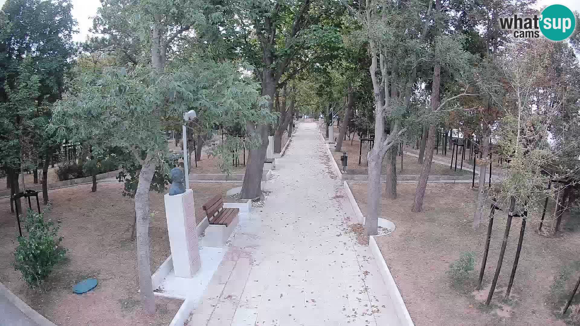Webcam Schriftstellerpark Senj – Live am Meer