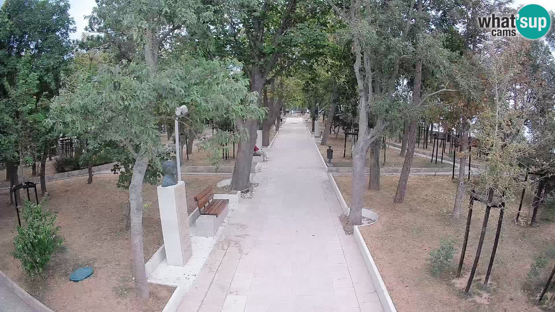 Webcam Parco degli Scrittori Segna – Diretta sul Mare