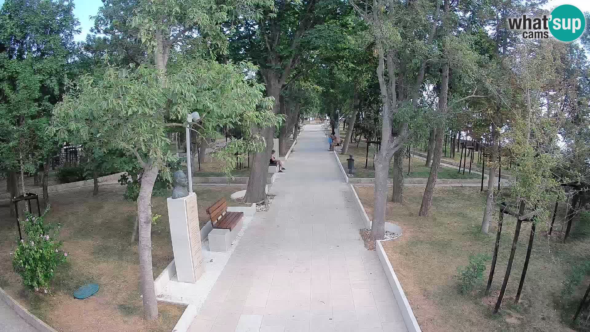 Webcam Parco degli Scrittori Segna – Diretta sul Mare
