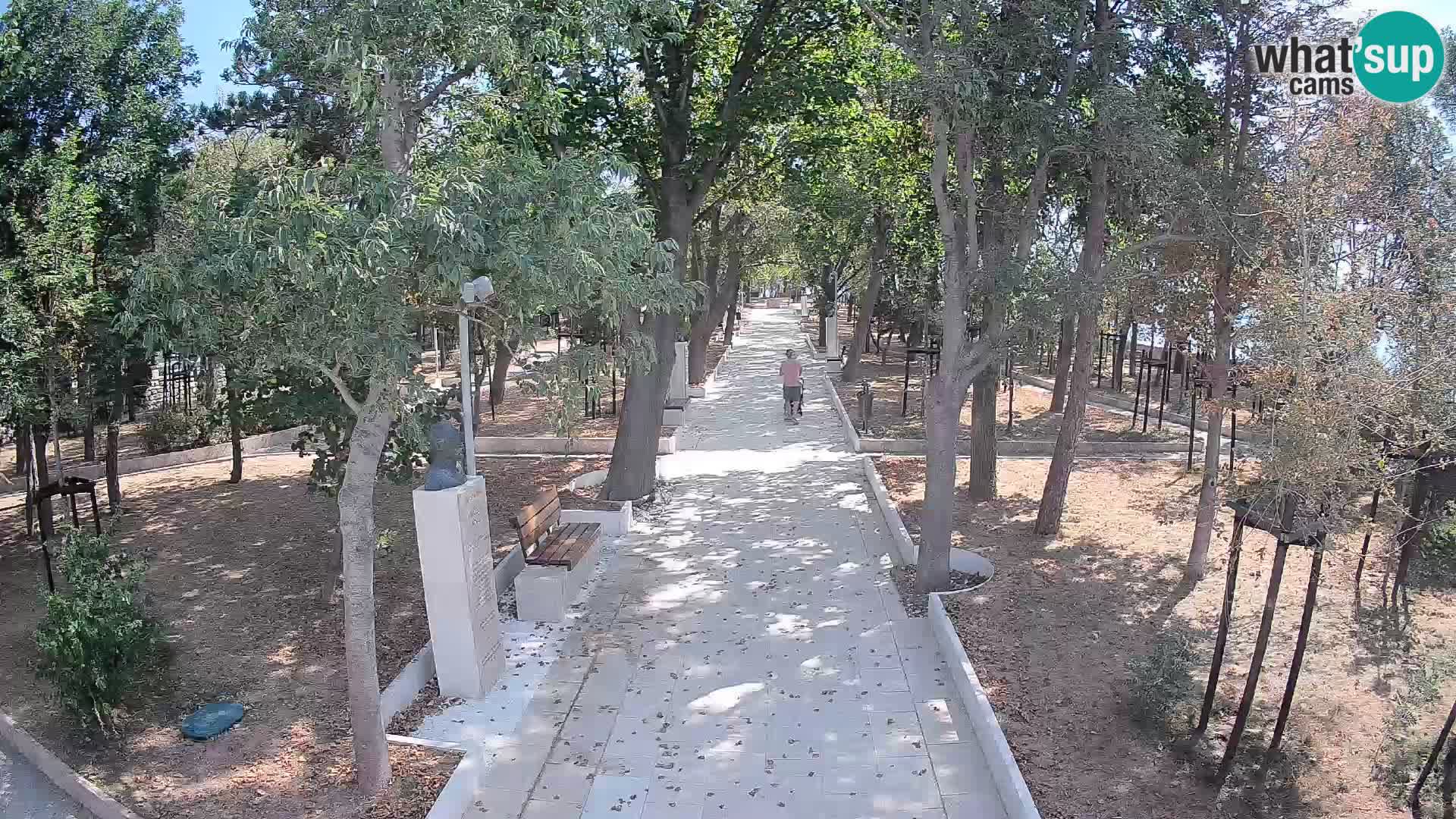 Webcam Parco degli Scrittori Segna – Diretta sul Mare