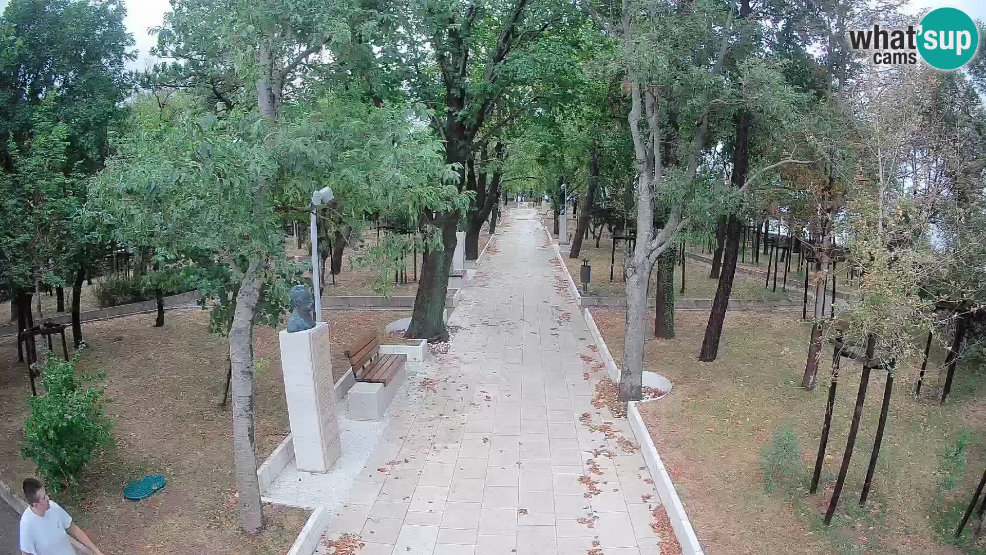 Webcam Schriftstellerpark Senj – Live am Meer