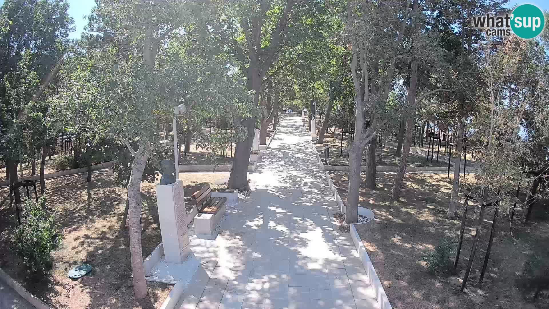 Webcam Parco degli Scrittori Segna – Diretta sul Mare