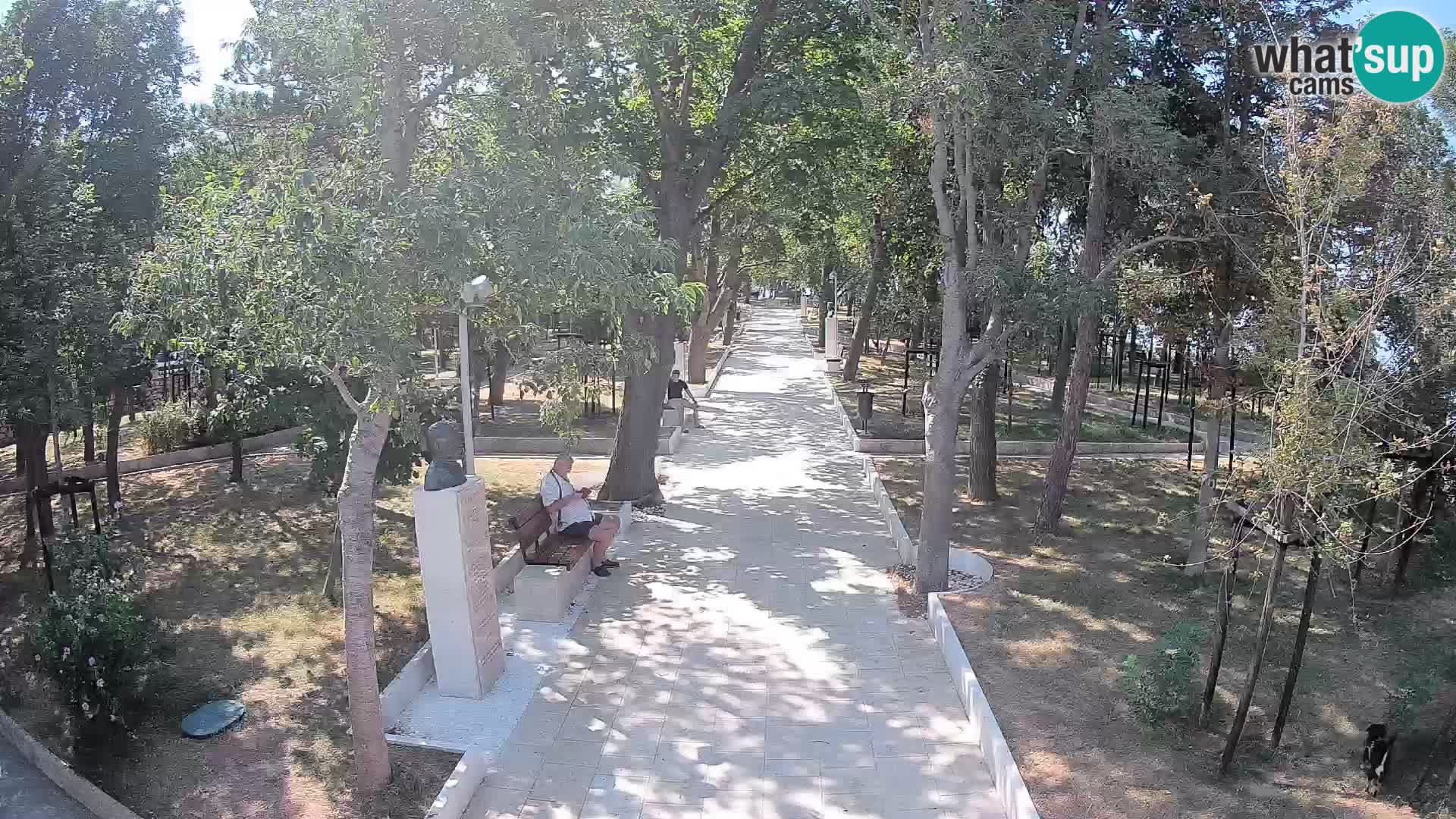 Writers’ Park Webcam Senj – Live by the Sea