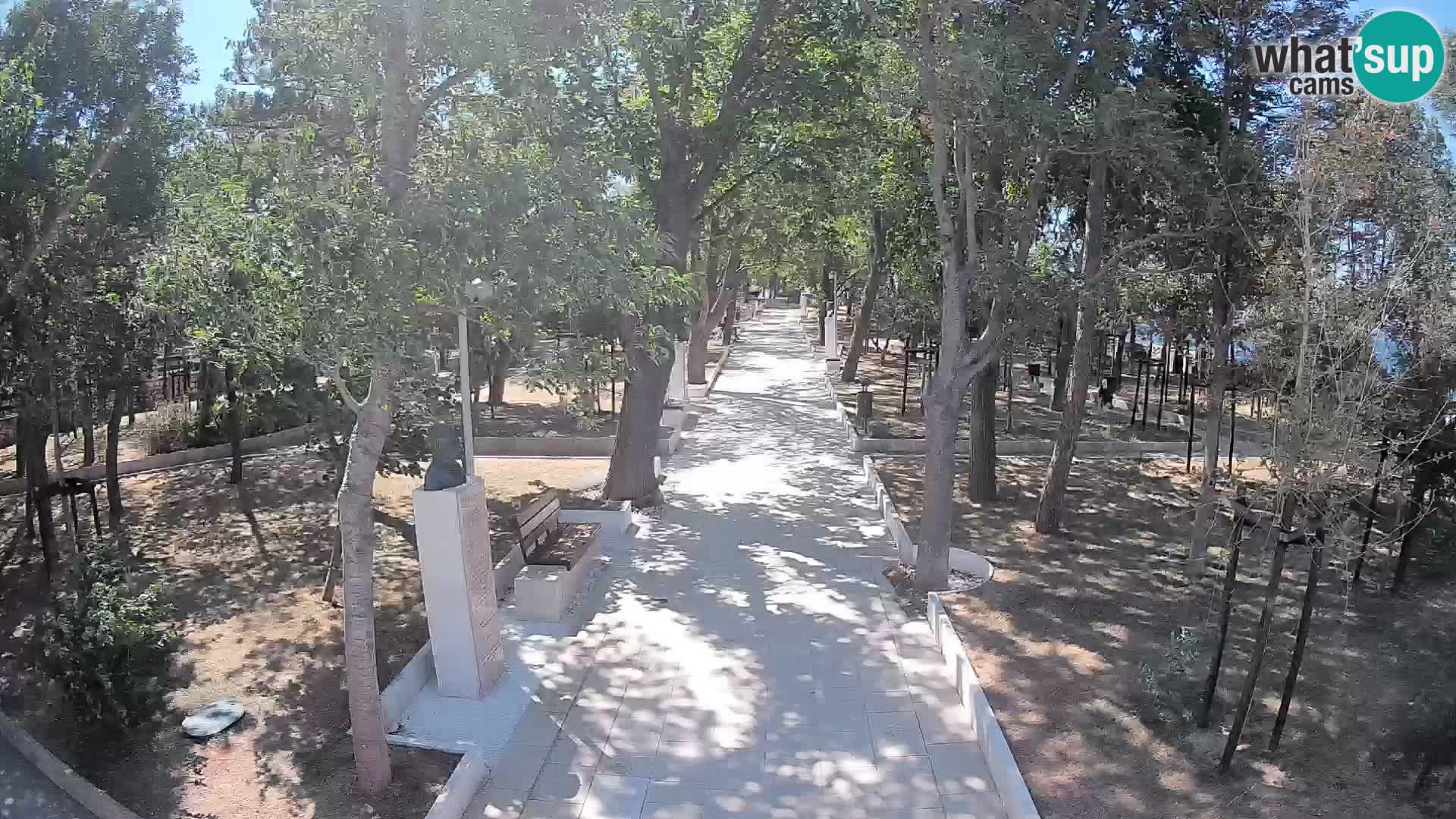 Webcam Parco degli Scrittori Segna – Diretta sul Mare