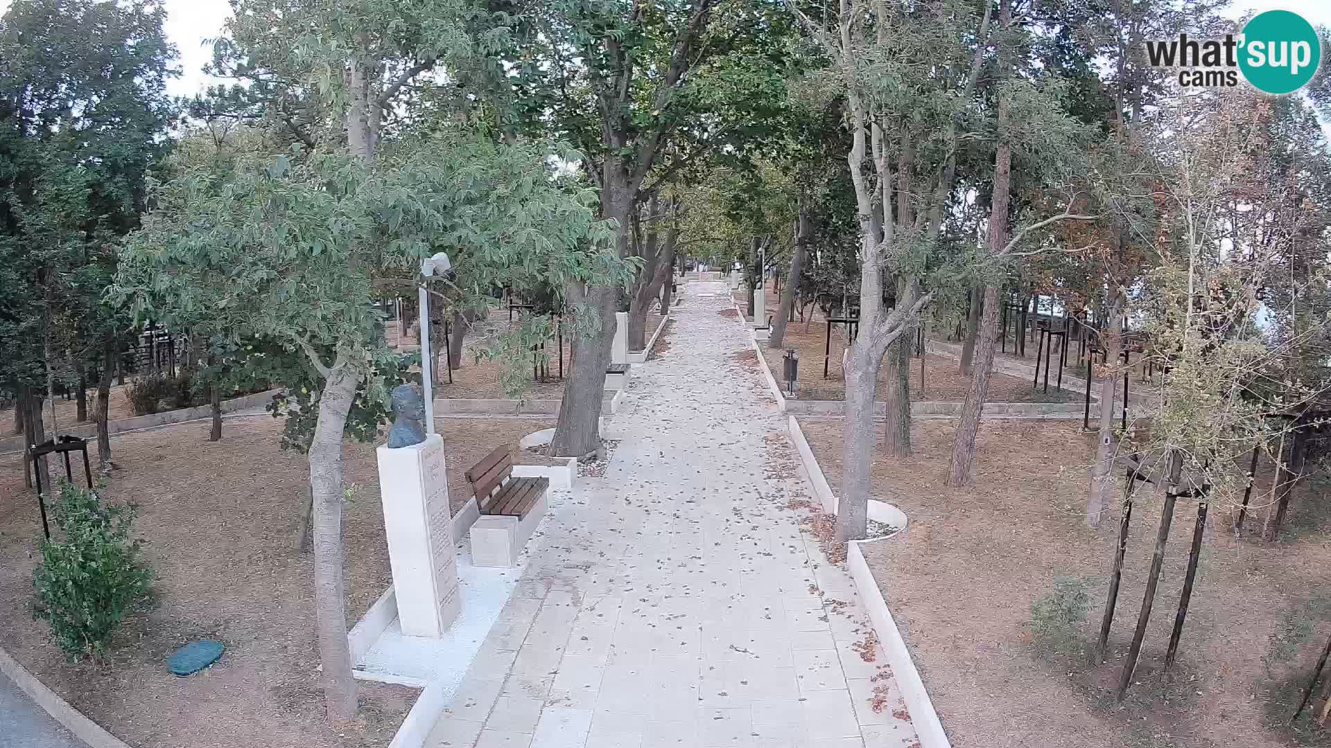 Webcam Parco degli Scrittori Segna – Diretta sul Mare