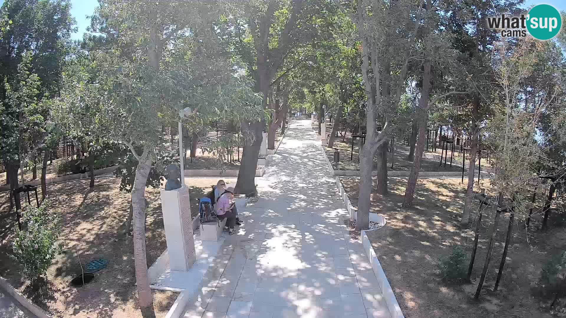 Webcam Parco degli Scrittori Segna – Diretta sul Mare