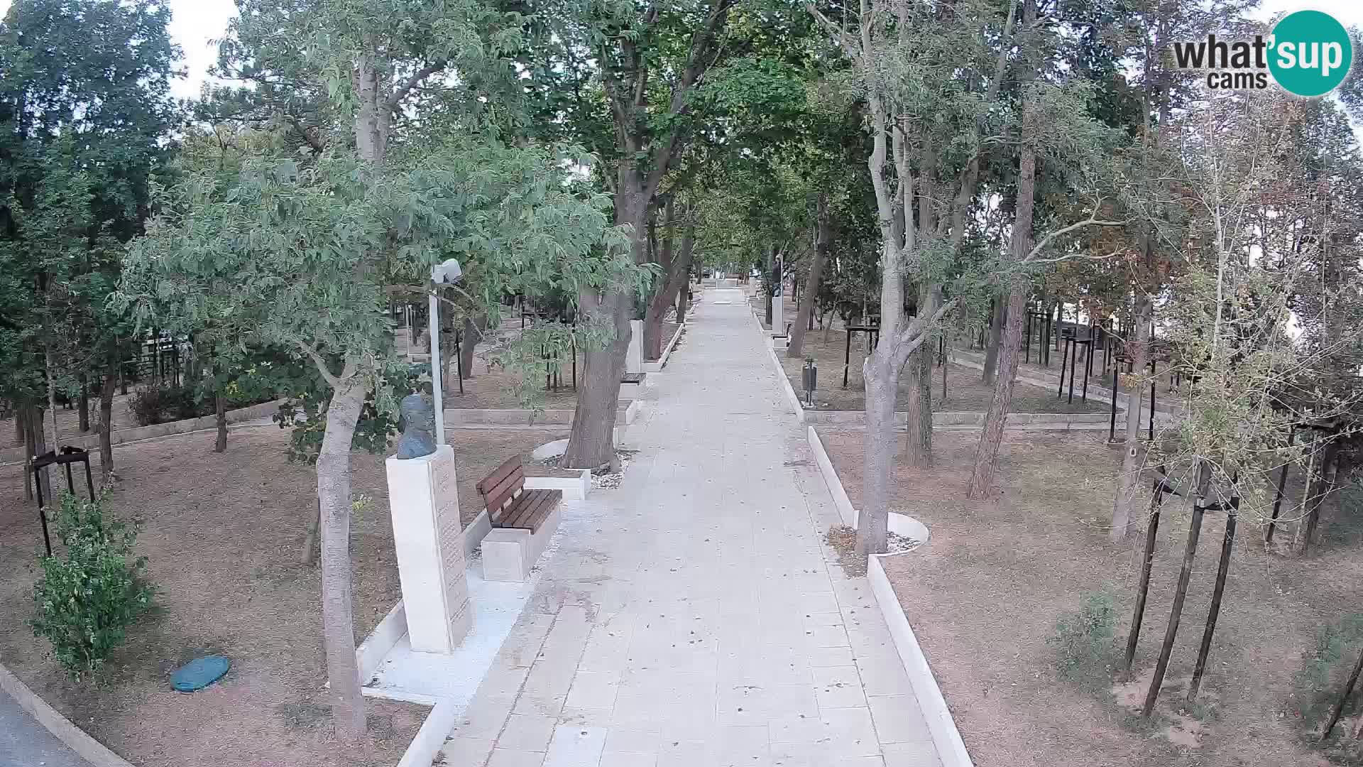 Webcam Schriftstellerpark Senj – Live am Meer