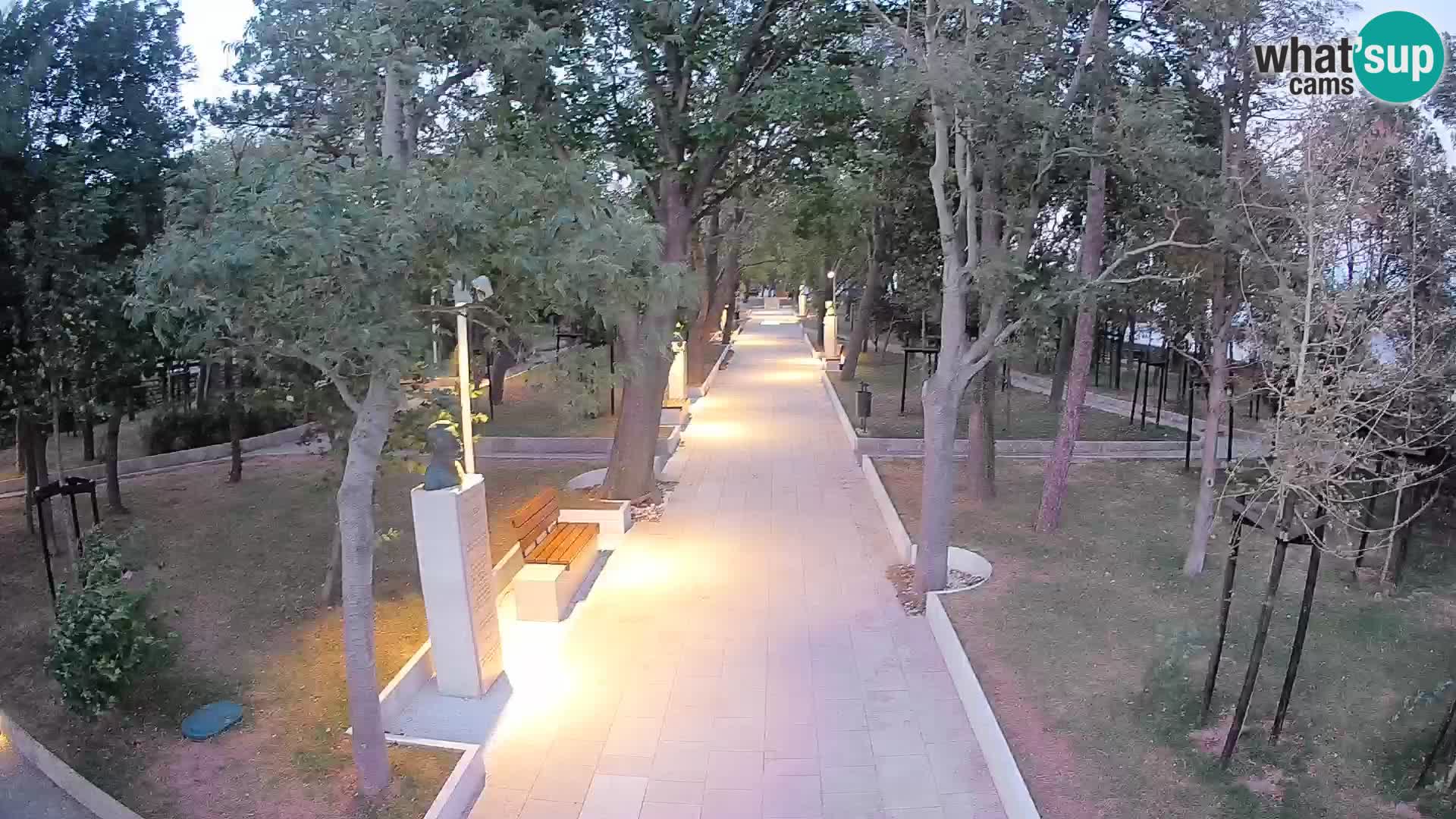Webcam Parco degli Scrittori Segna – Diretta sul Mare