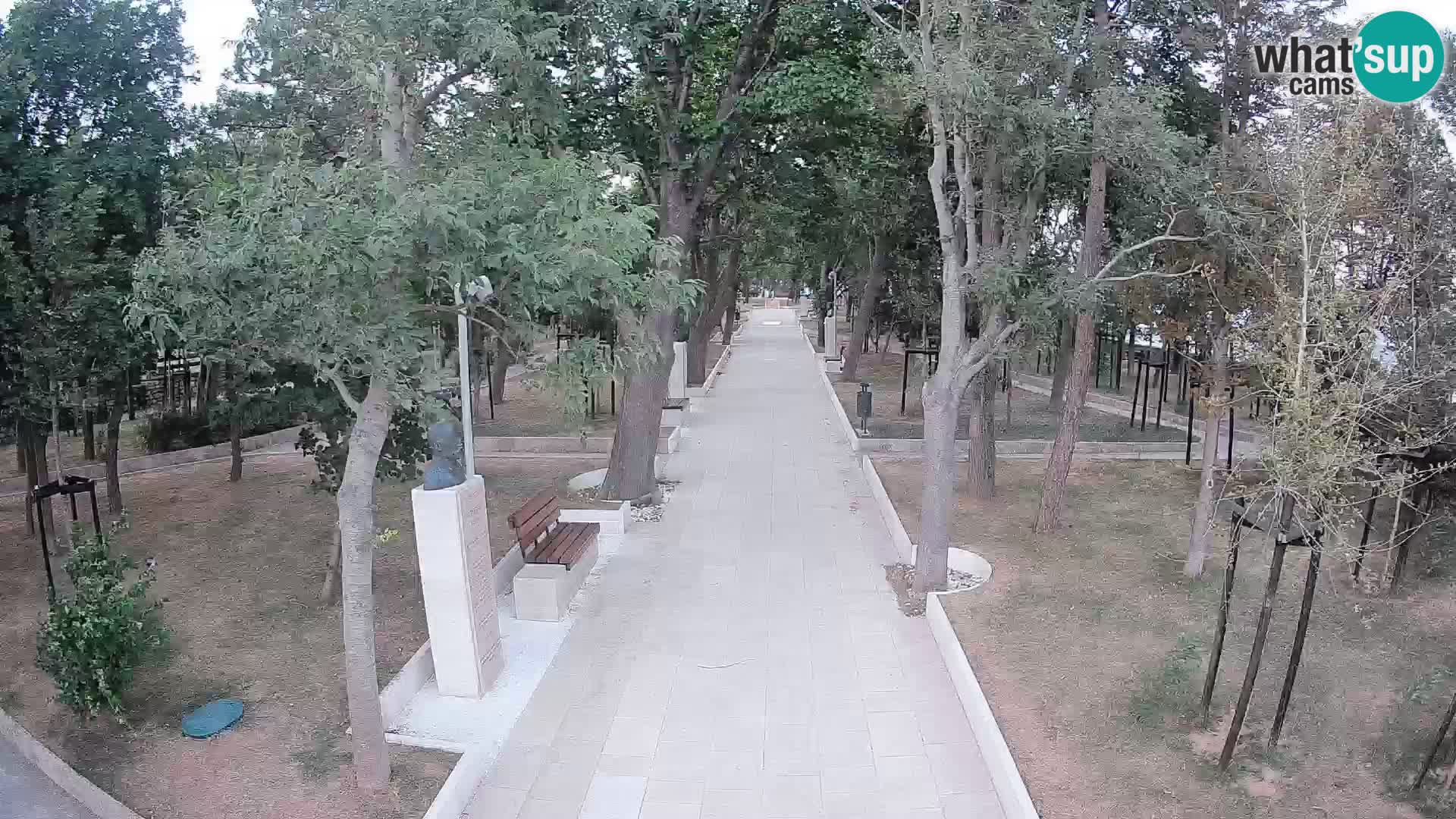 Webcam Schriftstellerpark Senj – Live am Meer