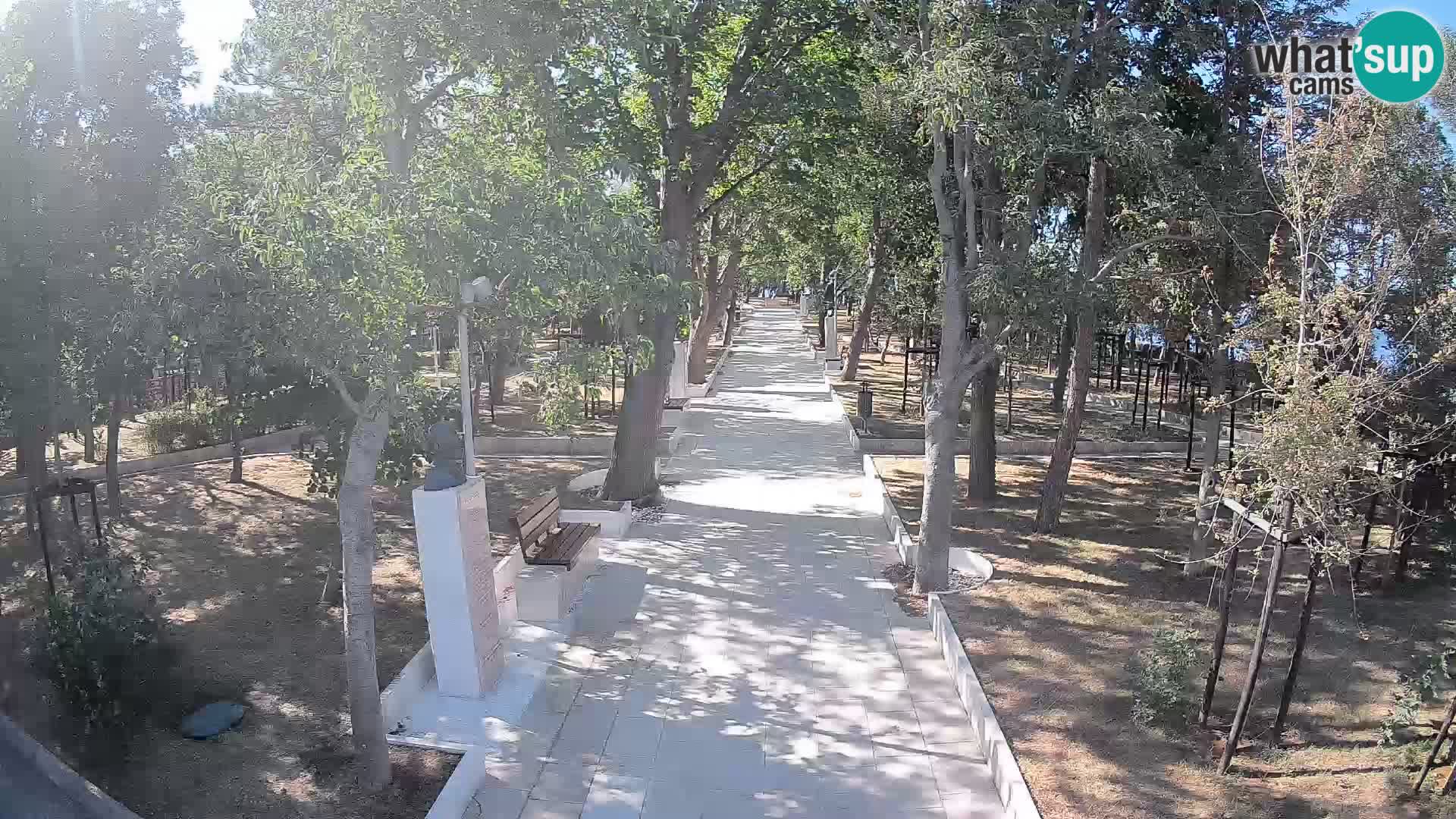 Webcam Parco degli Scrittori Segna – Diretta sul Mare