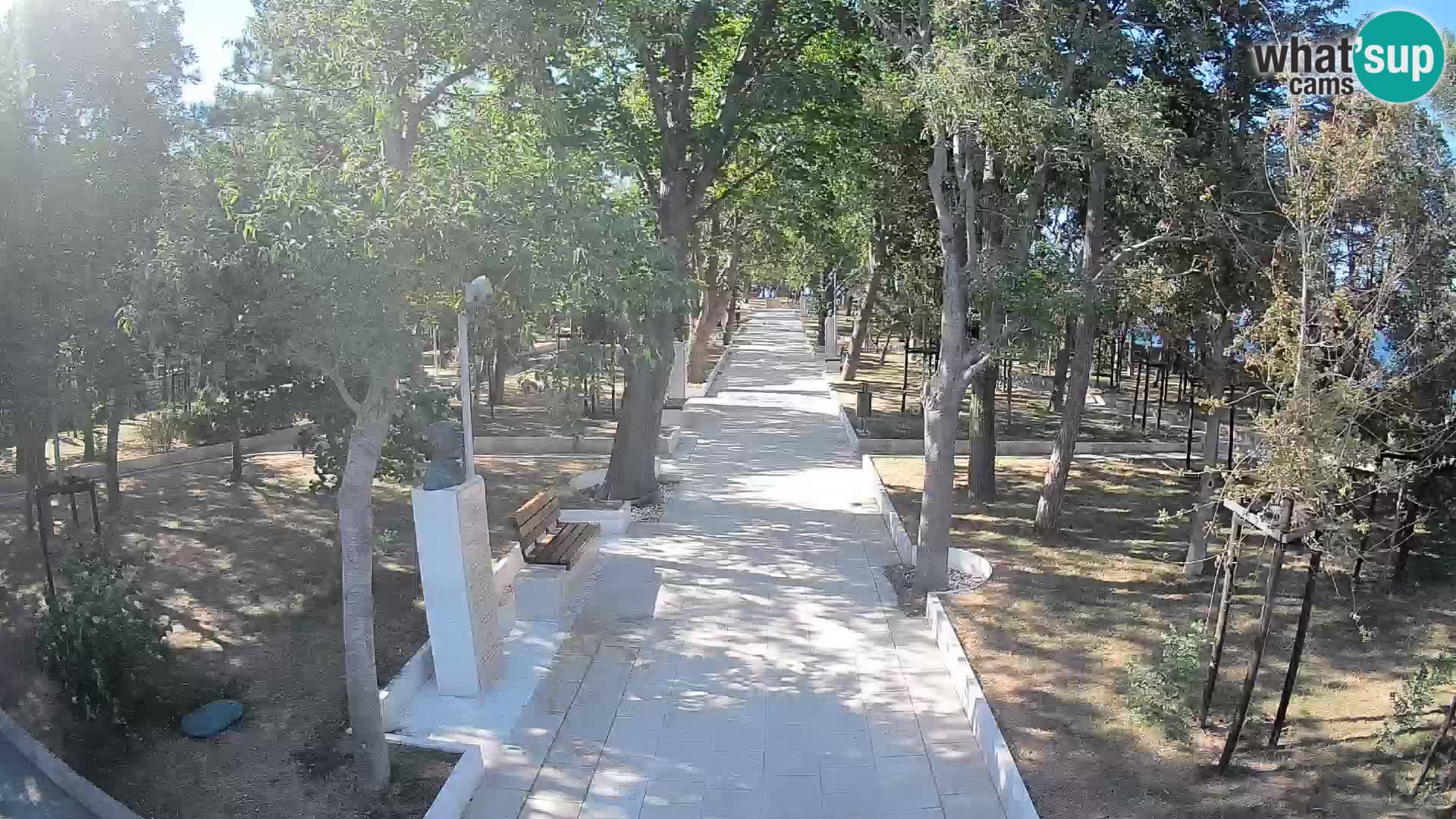Webcam Parco degli Scrittori Segna – Diretta sul Mare