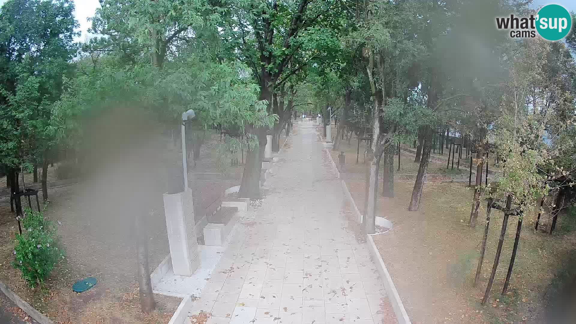Webcam Parco degli Scrittori Segna – Diretta sul Mare