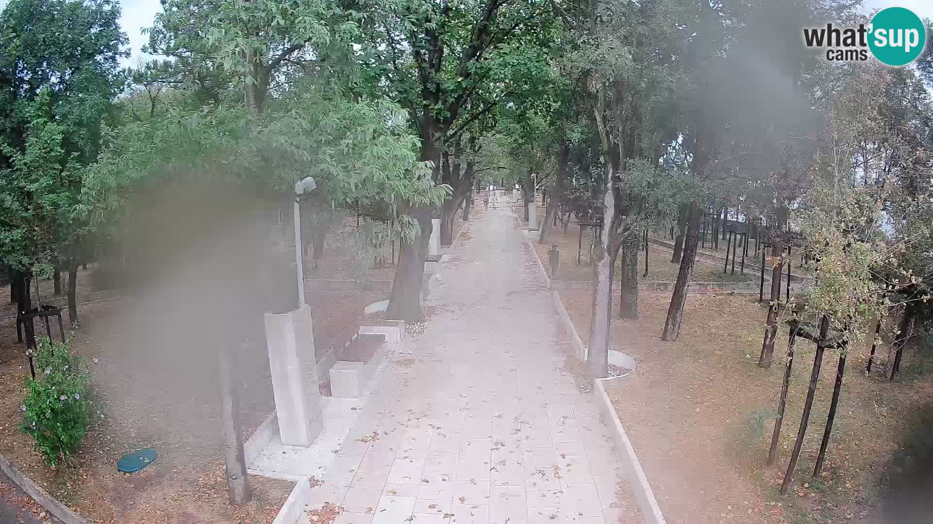Webcam Parco degli Scrittori Segna – Diretta sul Mare