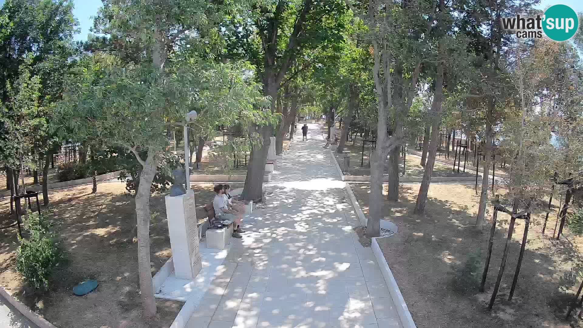Webcam Parco degli Scrittori Segna – Diretta sul Mare