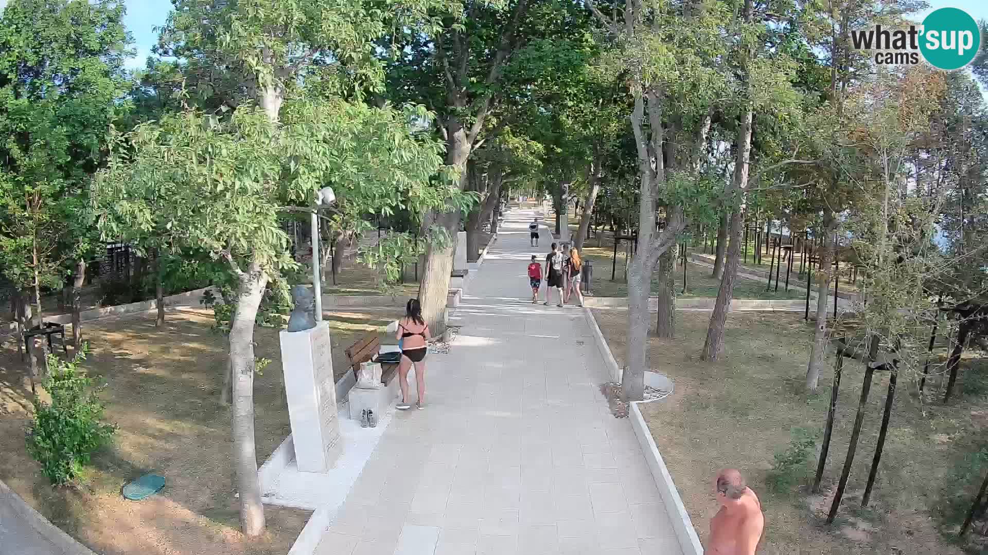 Writers’ Park Webcam Senj – Live by the Sea