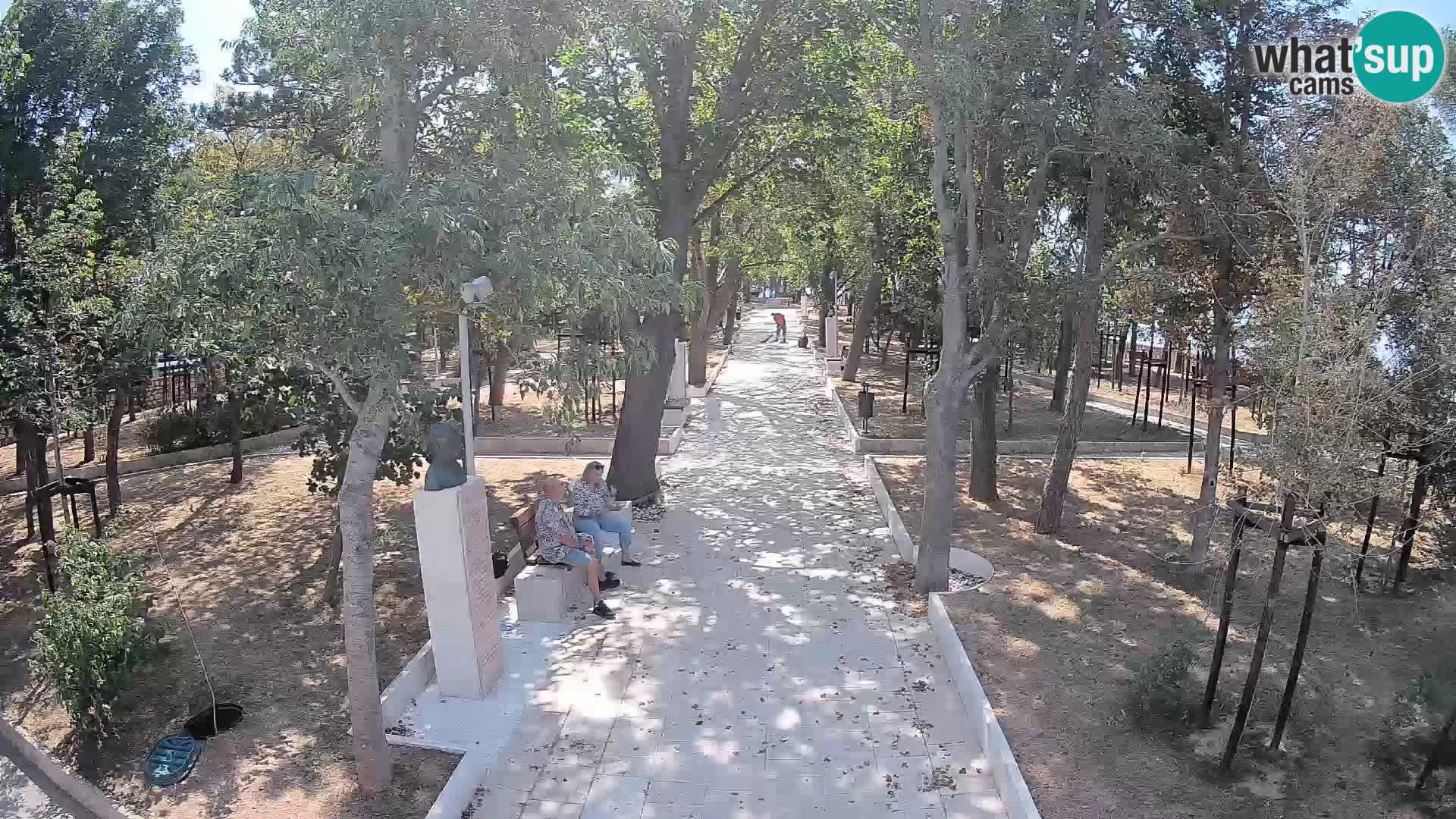 Webcam Parco degli Scrittori Segna – Diretta sul Mare