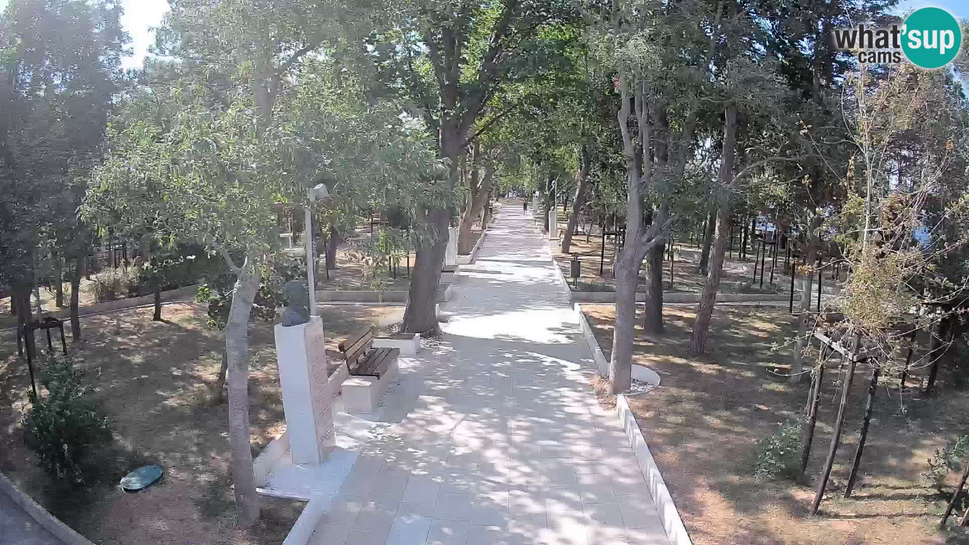 Webcam Parco degli Scrittori Segna – Diretta sul Mare