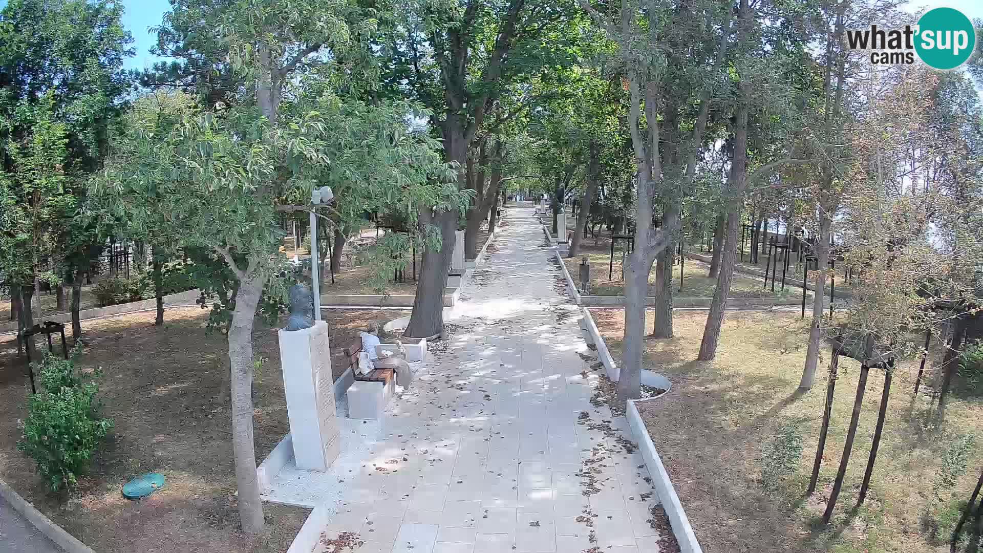Webcam Parco degli Scrittori Segna – Diretta sul Mare