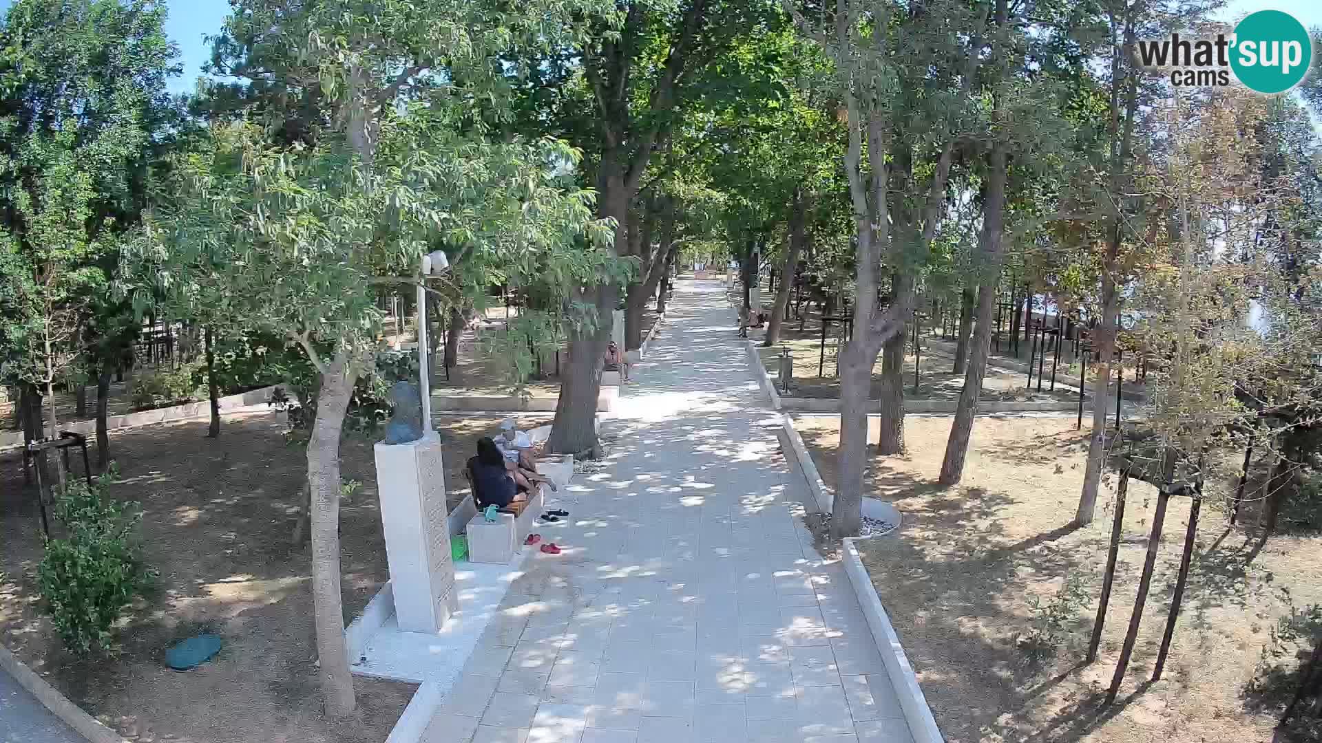 Webcam Parco degli Scrittori Segna – Diretta sul Mare