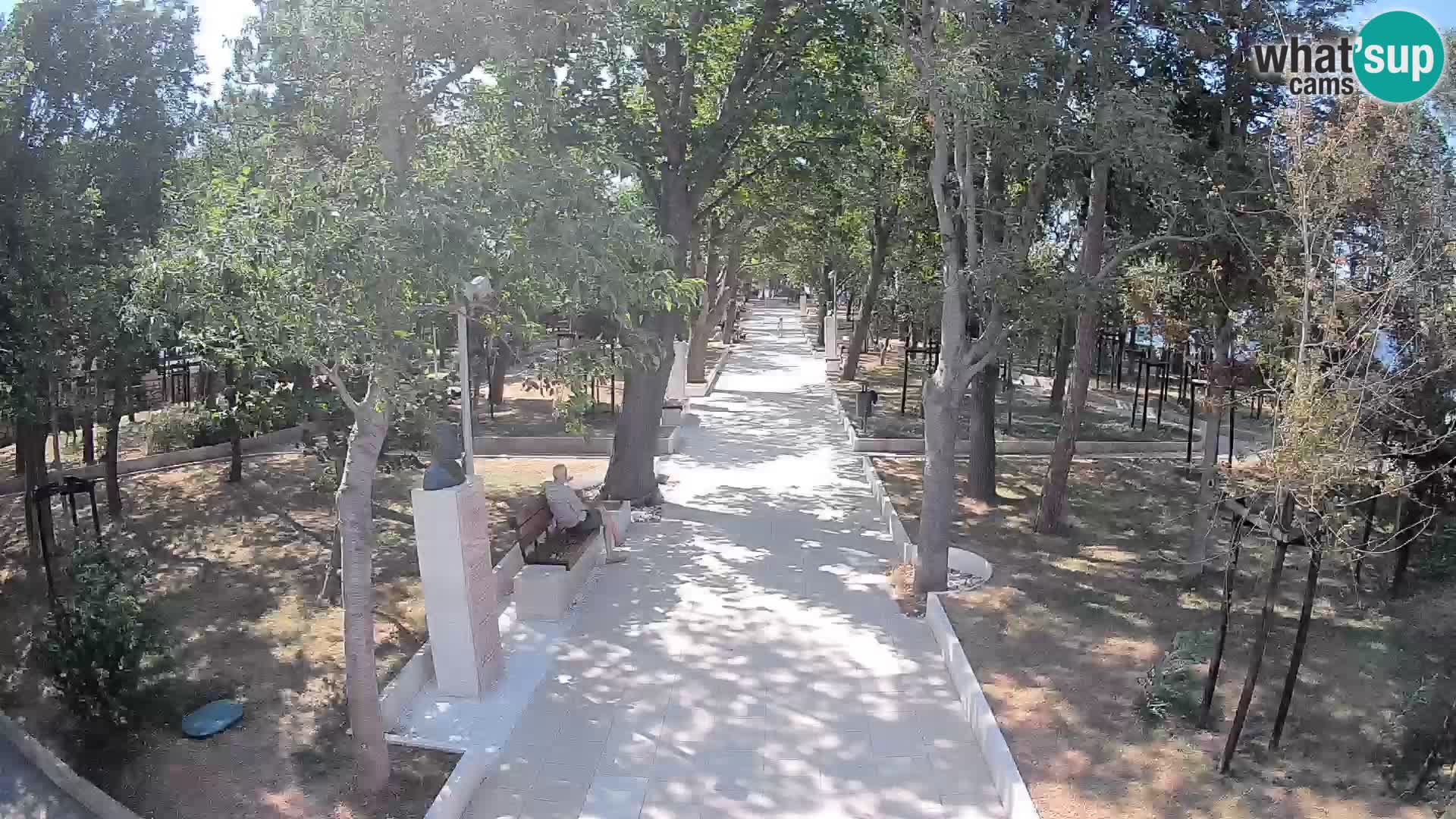 Webcam Parco degli Scrittori Segna – Diretta sul Mare