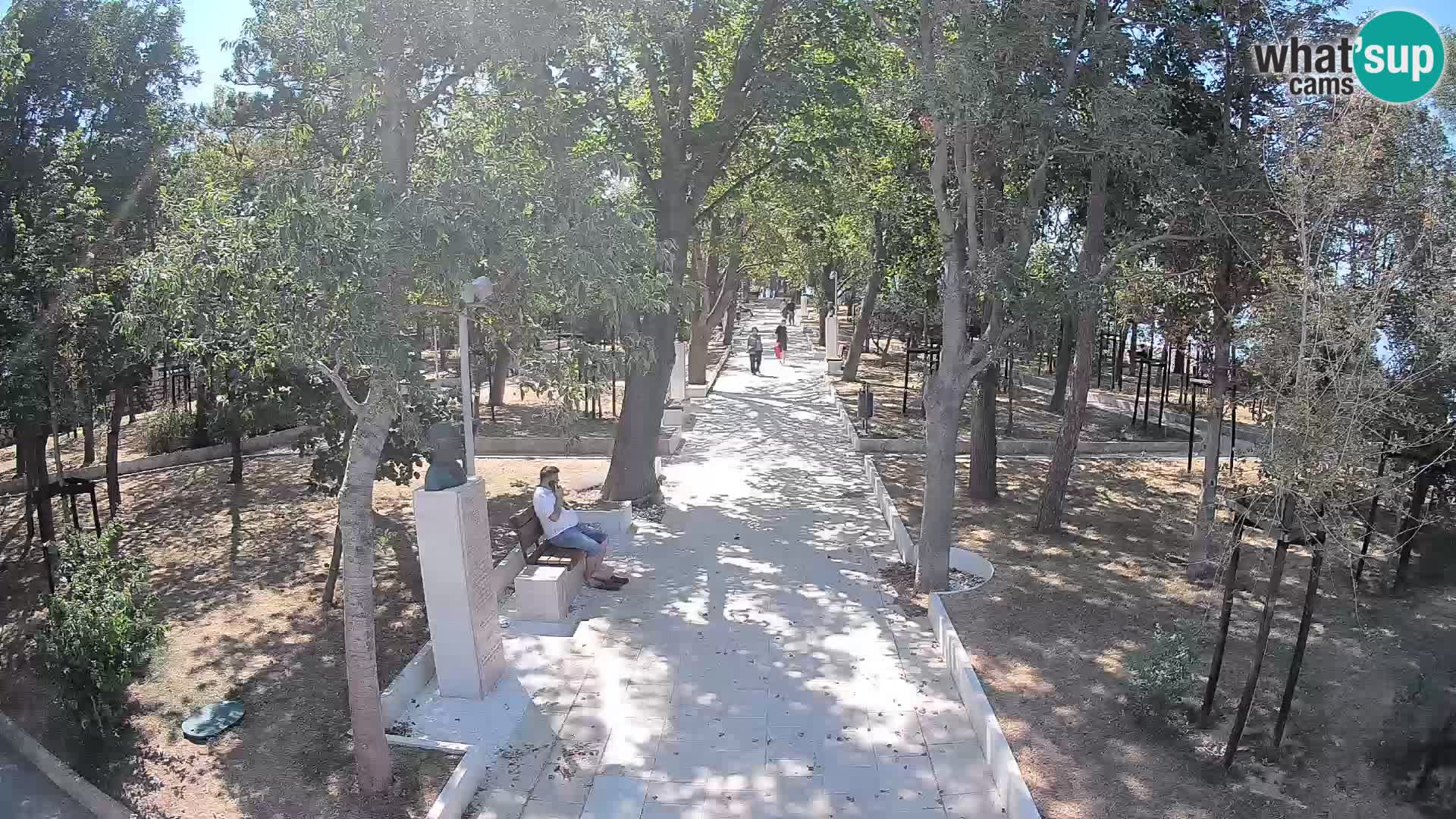 Webcam Parco degli Scrittori Segna – Diretta sul Mare
