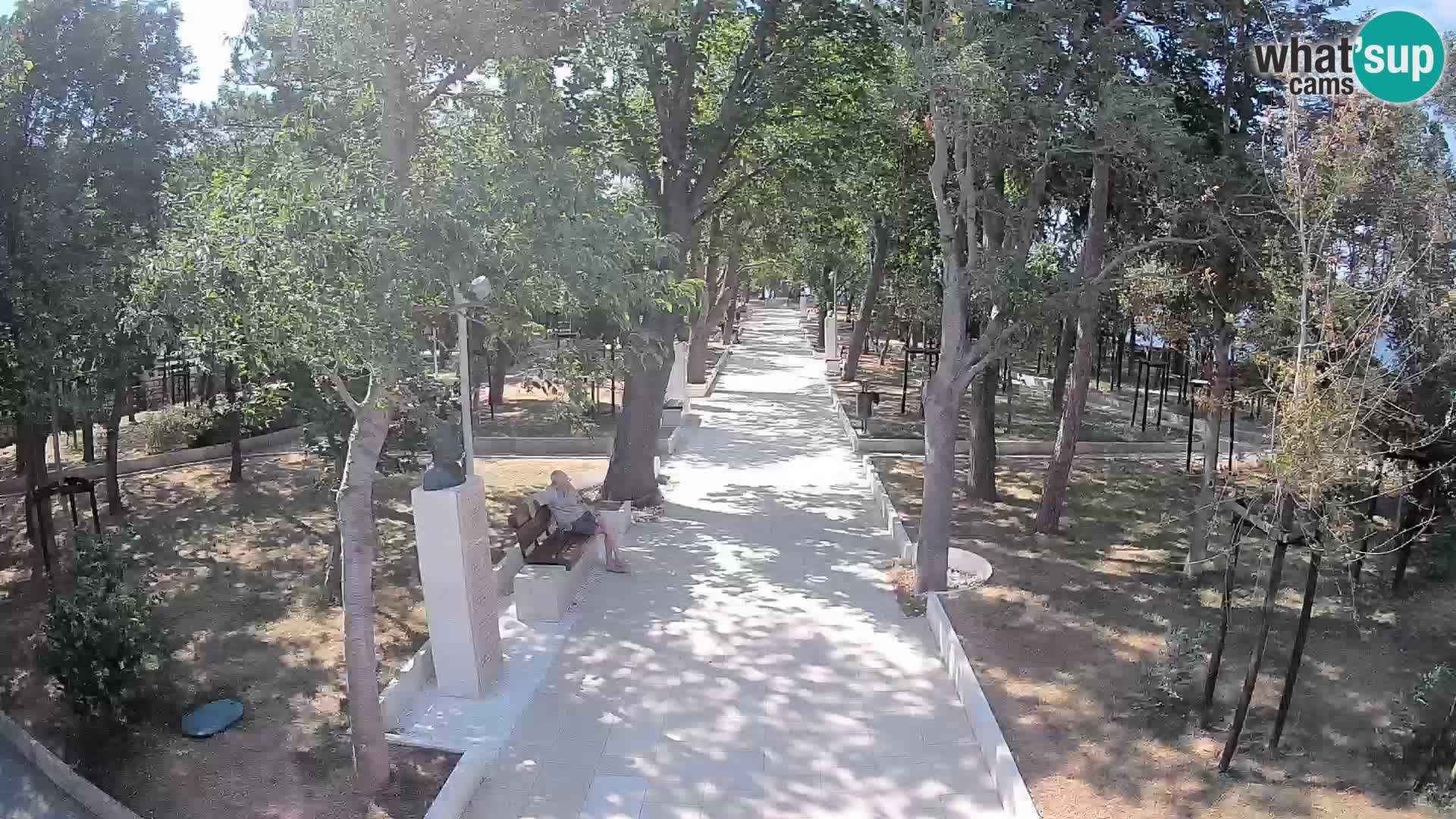 Webcam Parco degli Scrittori Segna – Diretta sul Mare