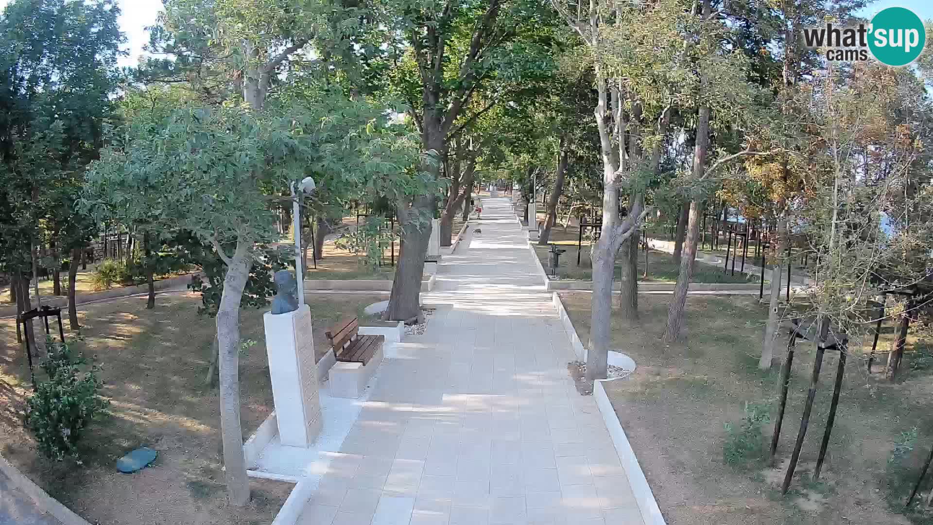 Webcam Parco degli Scrittori Segna – Diretta sul Mare