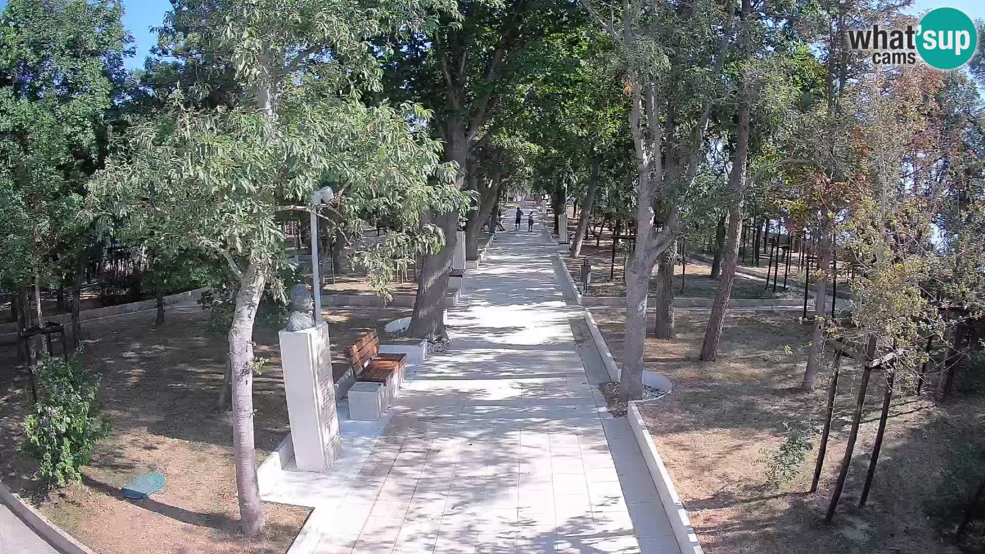 Webcam Parco degli Scrittori Segna – Diretta sul Mare