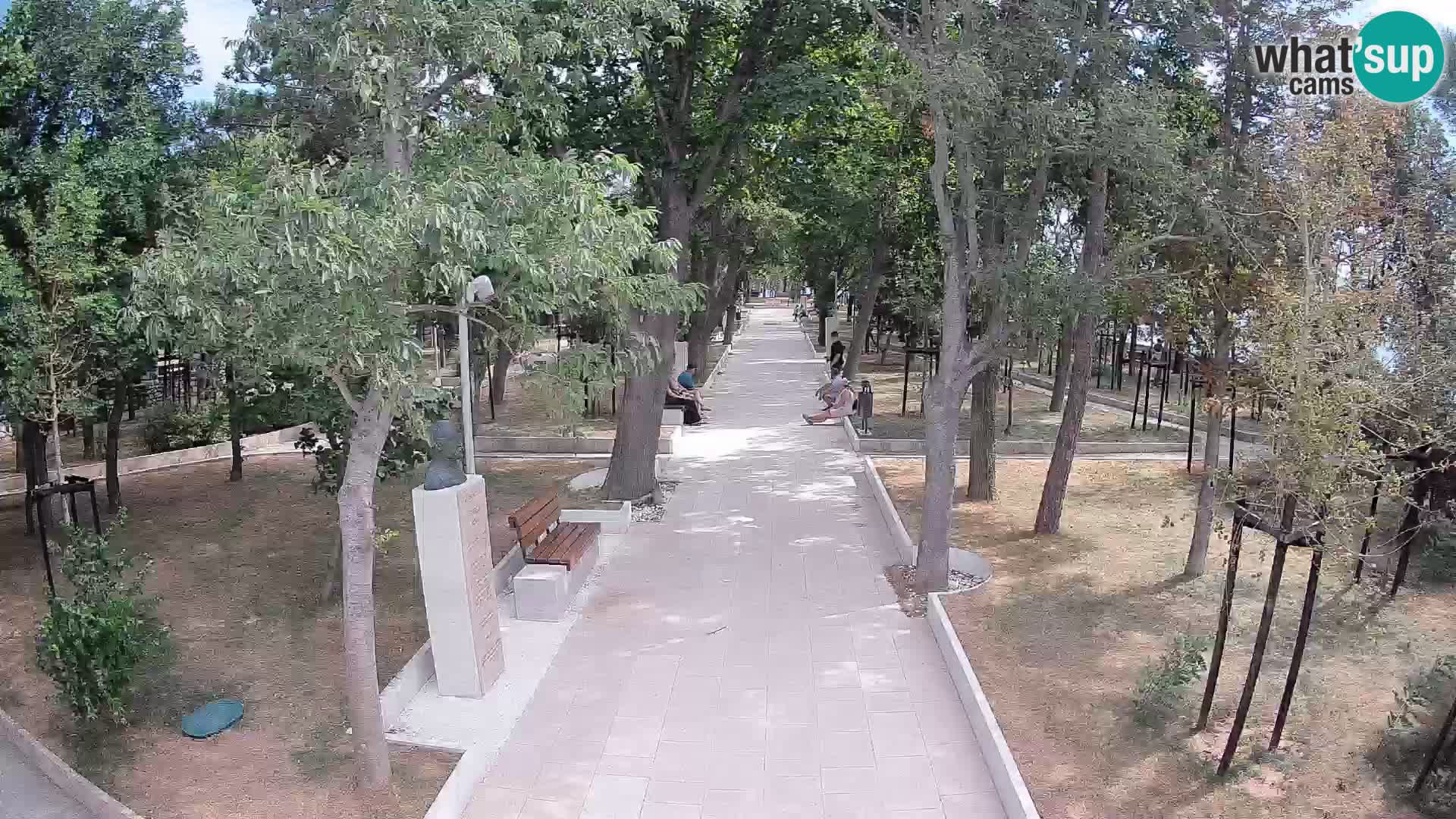 Webcam Parco degli Scrittori Segna – Diretta sul Mare