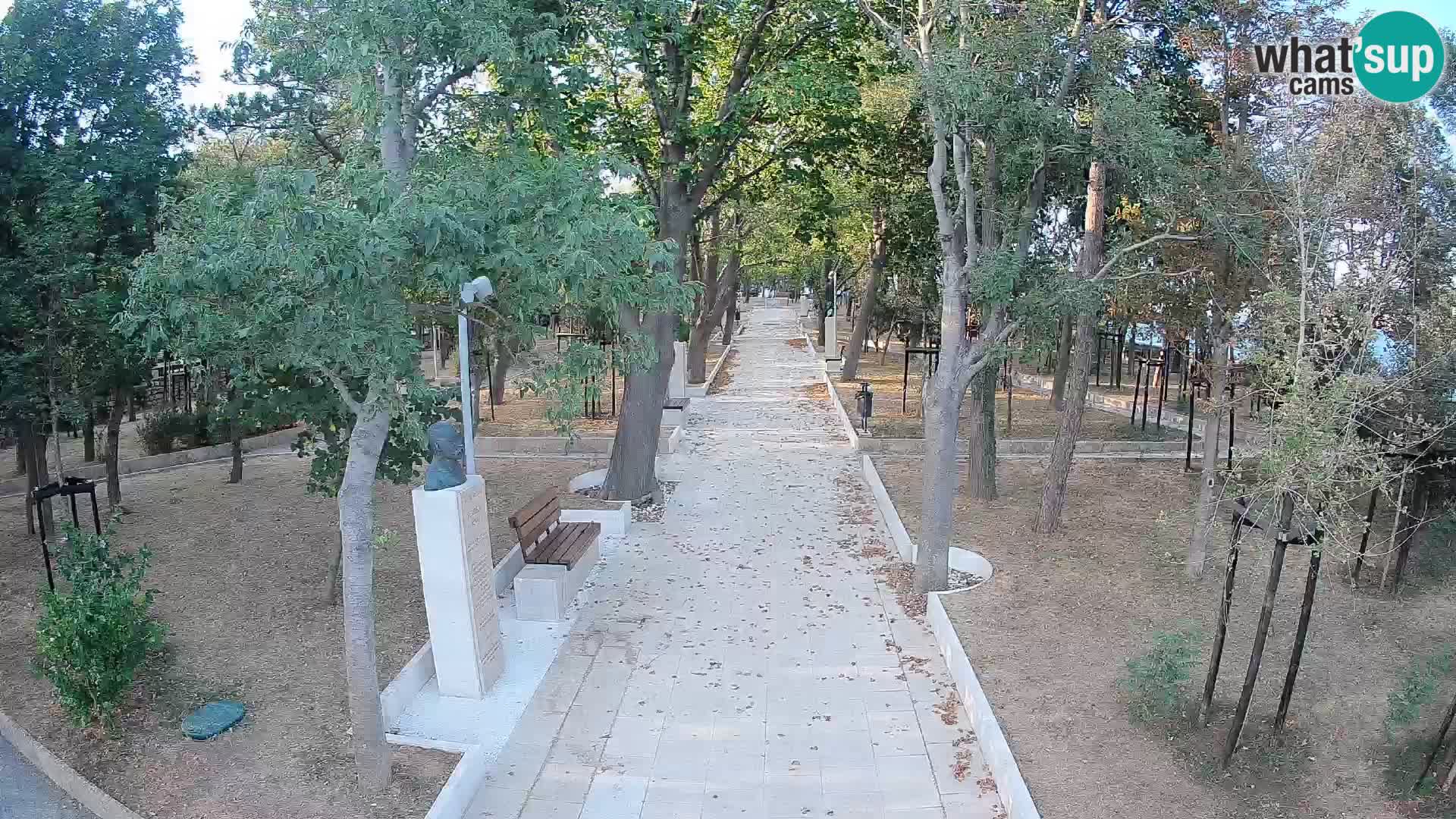 Webcam Parco degli Scrittori Segna – Diretta sul Mare