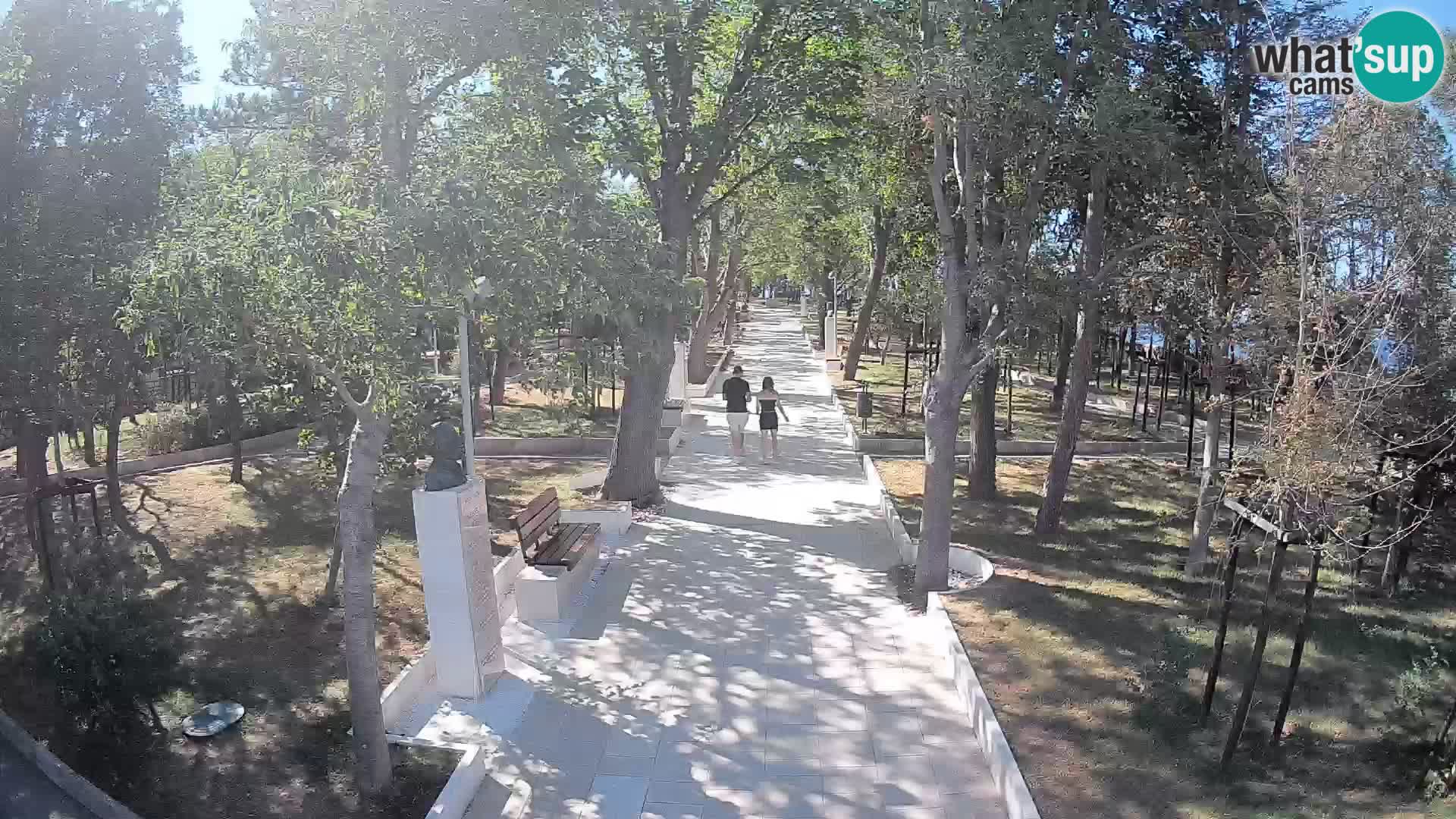 Webcam Parco degli Scrittori Segna – Diretta sul Mare