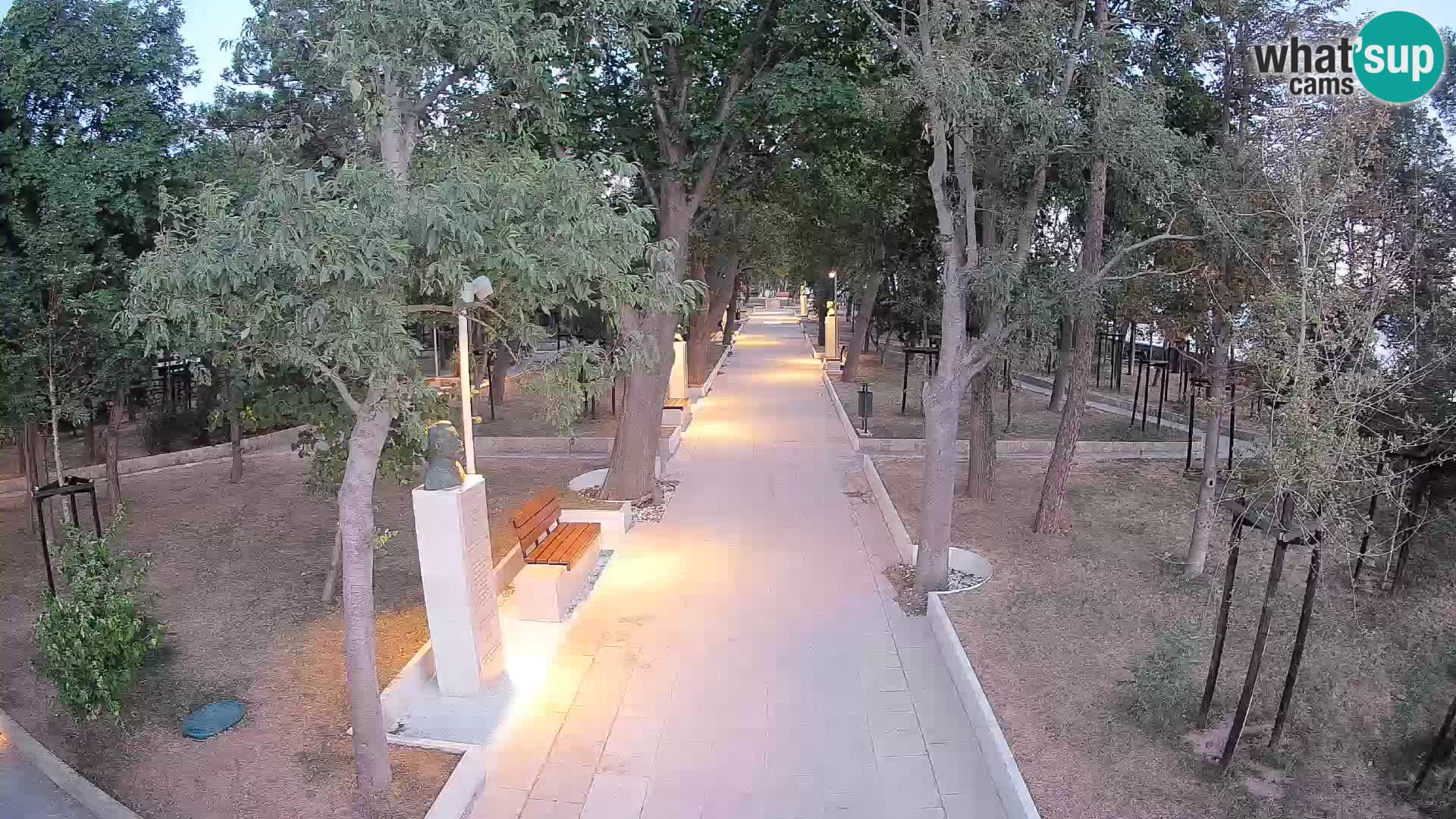 Webcam Parco degli Scrittori Segna – Diretta sul Mare