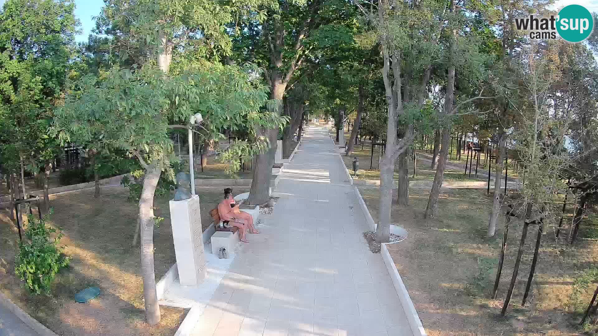 Webcam Parco degli Scrittori Segna – Diretta sul Mare