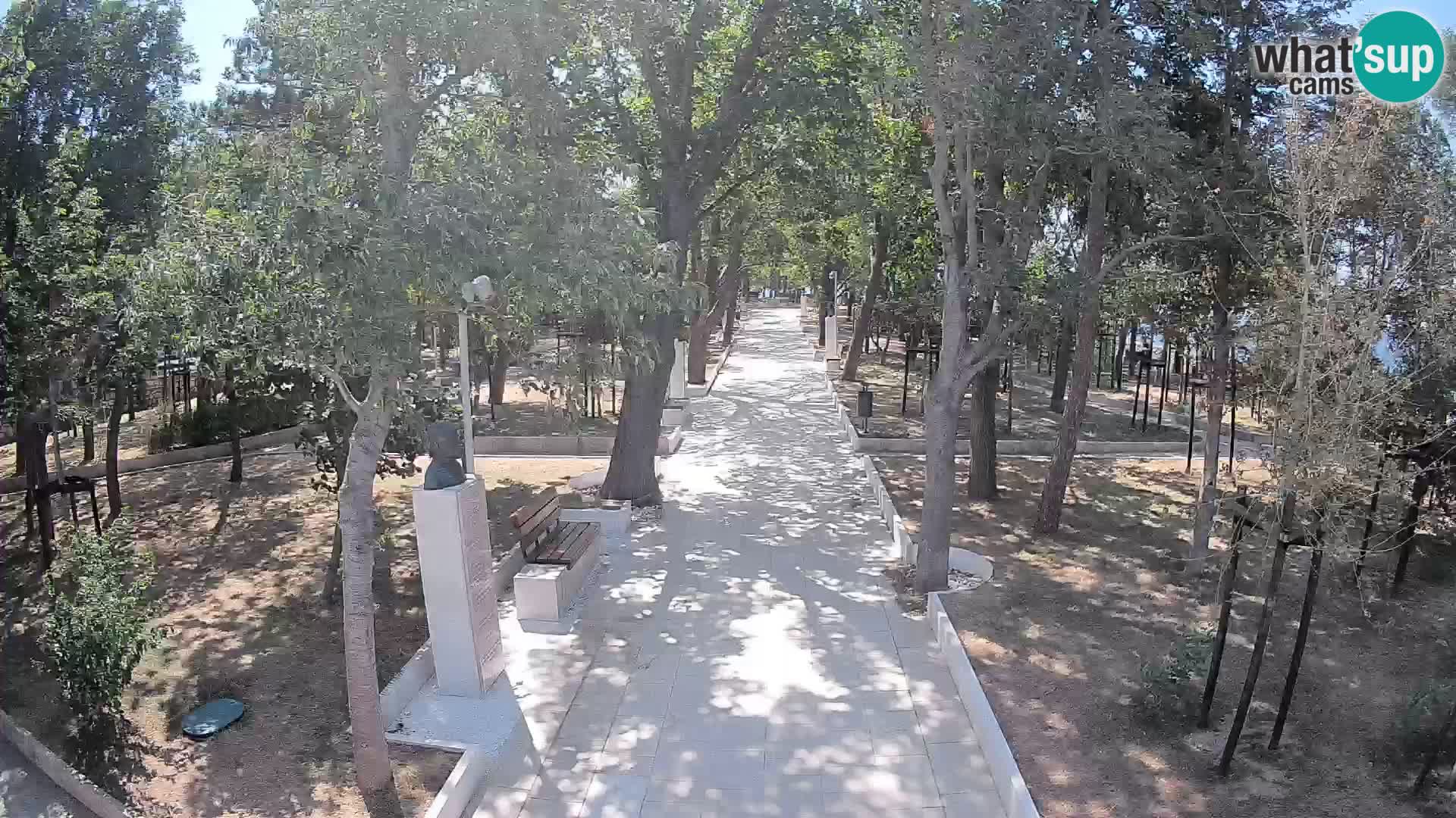 Webcam Parco degli Scrittori Segna – Diretta sul Mare