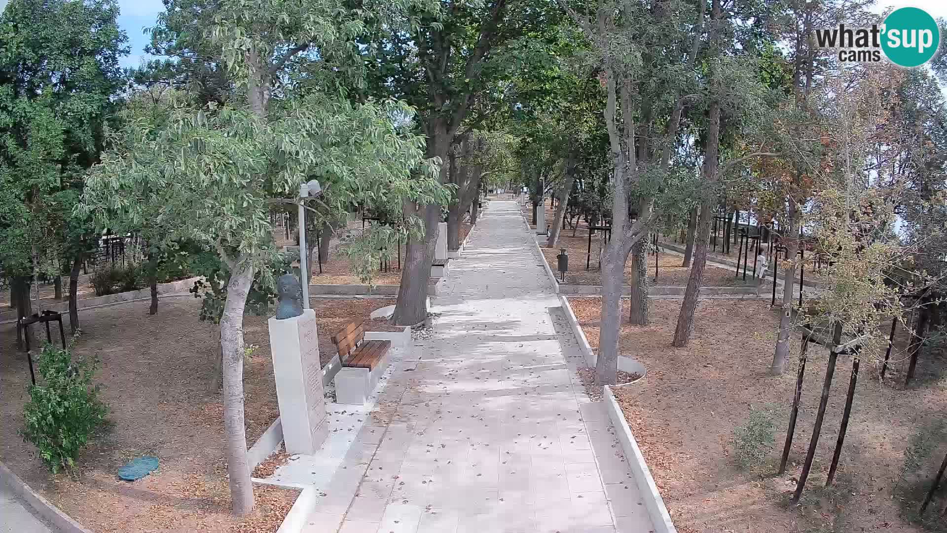 Webcam Parco degli Scrittori Segna – Diretta sul Mare