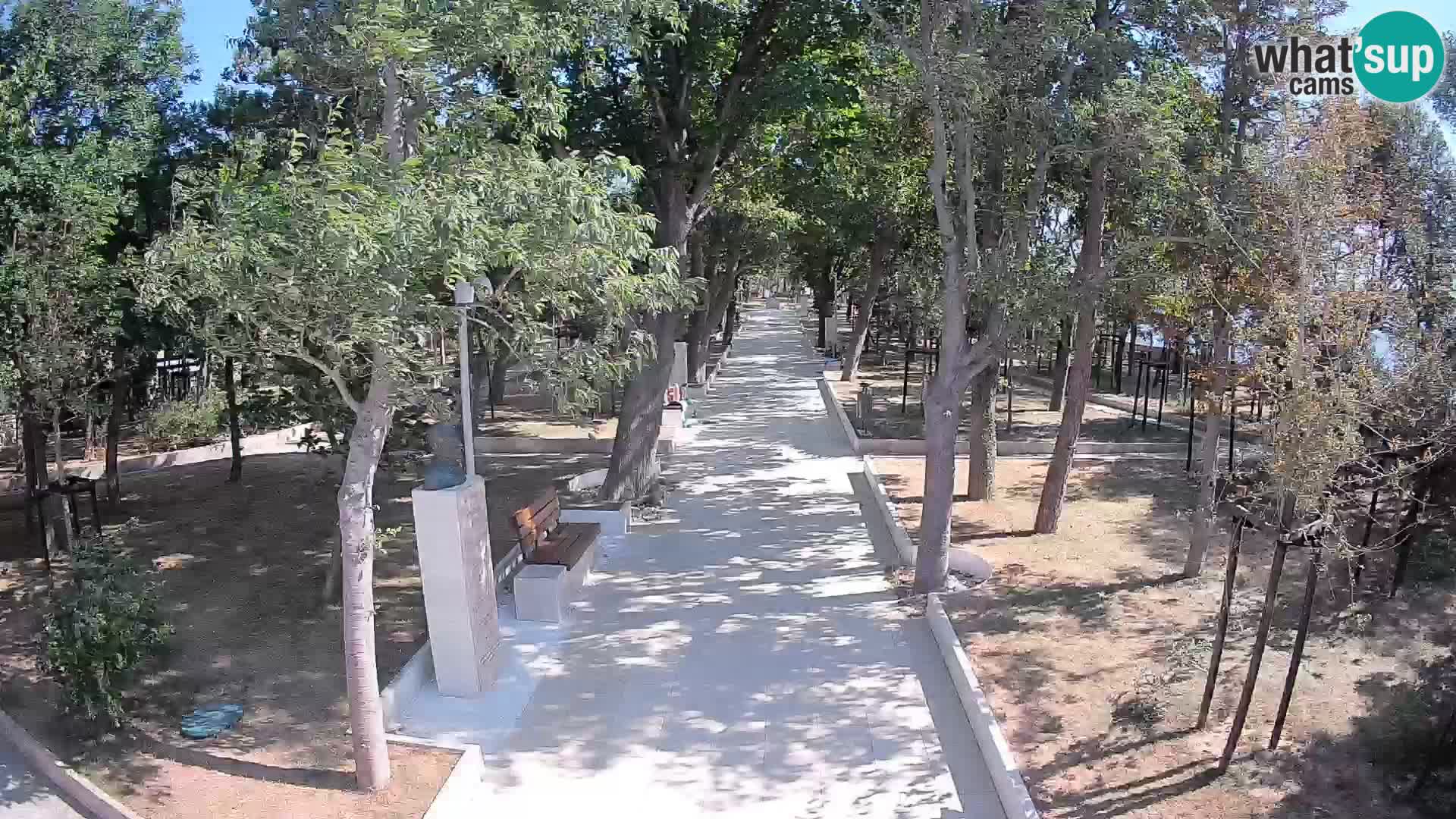 Webcam Parco degli Scrittori Segna – Diretta sul Mare