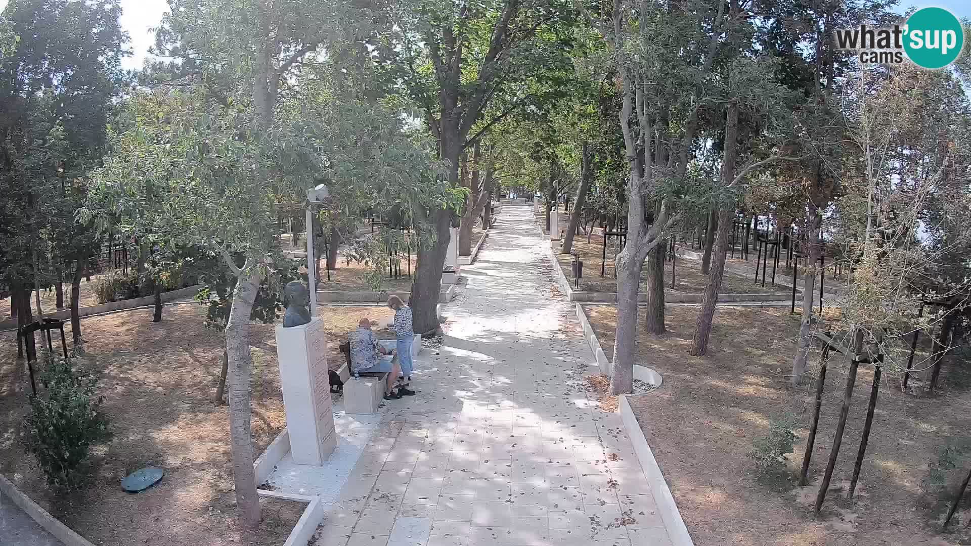 Webcam Parco degli Scrittori Segna – Diretta sul Mare
