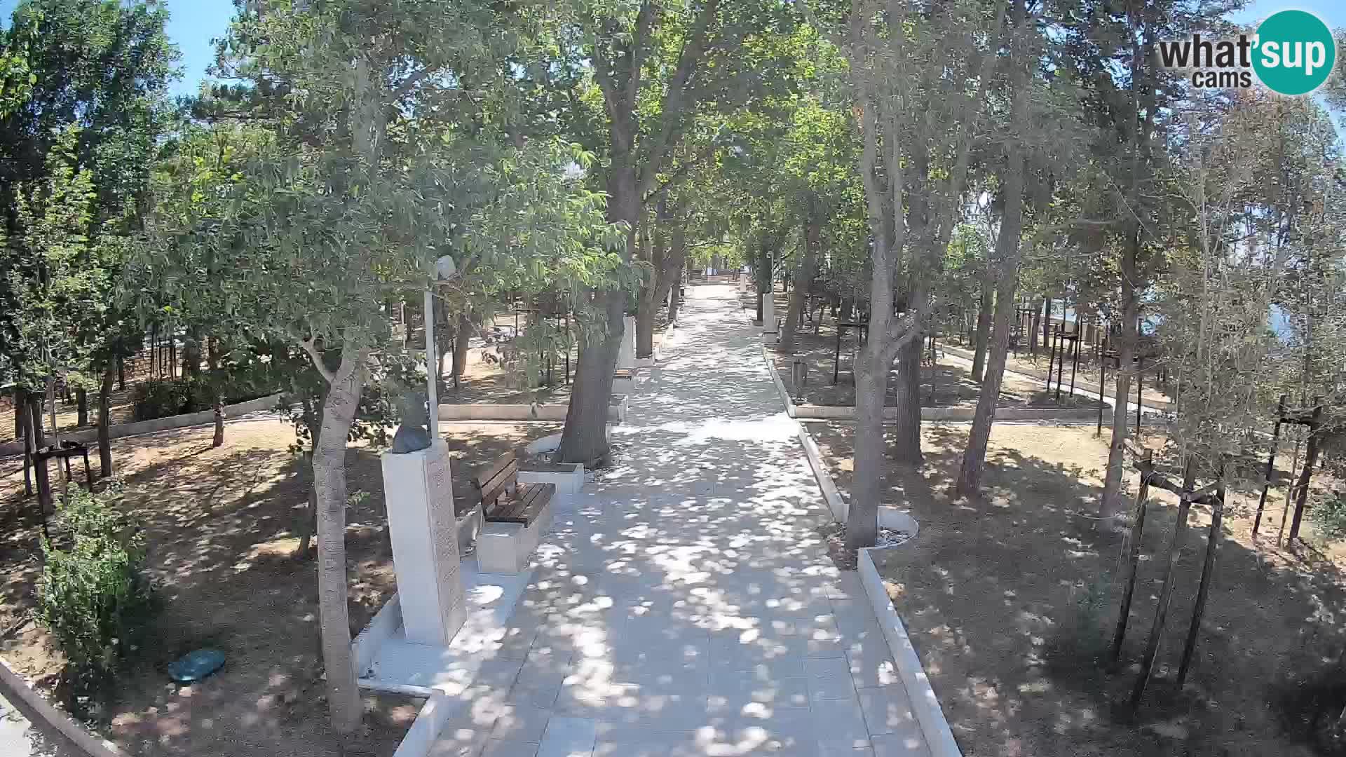 Webcam Parco degli Scrittori Segna – Diretta sul Mare