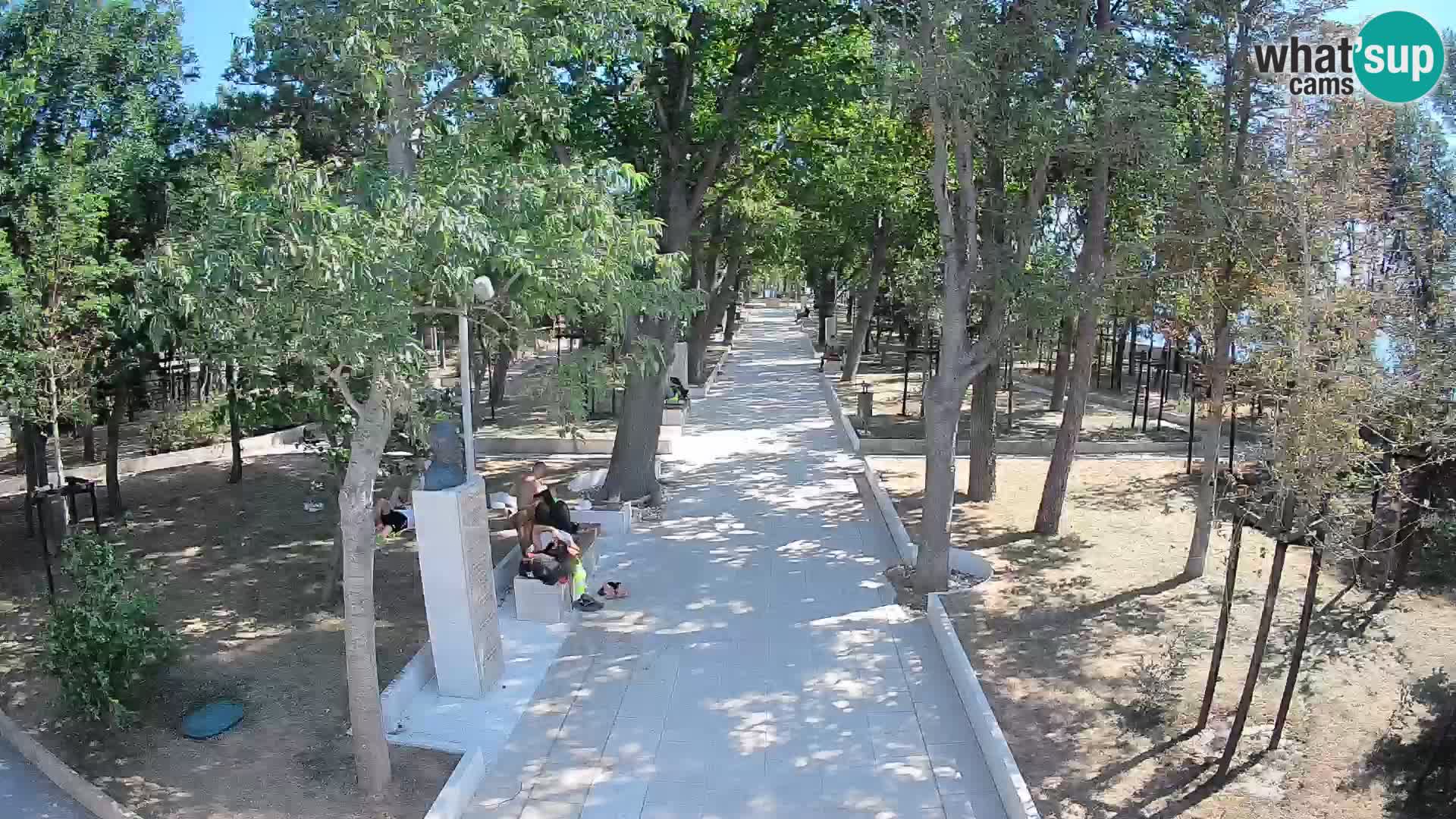 Webcam Parco degli Scrittori Segna – Diretta sul Mare