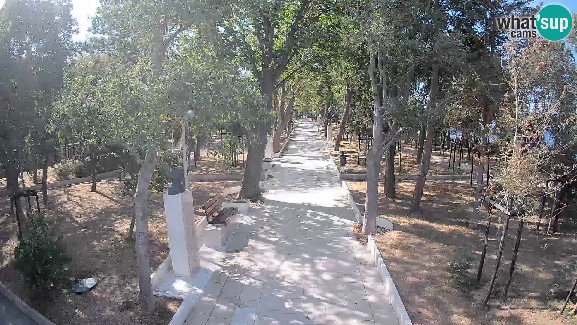 Webcam Parco degli Scrittori Segna – Diretta sul Mare