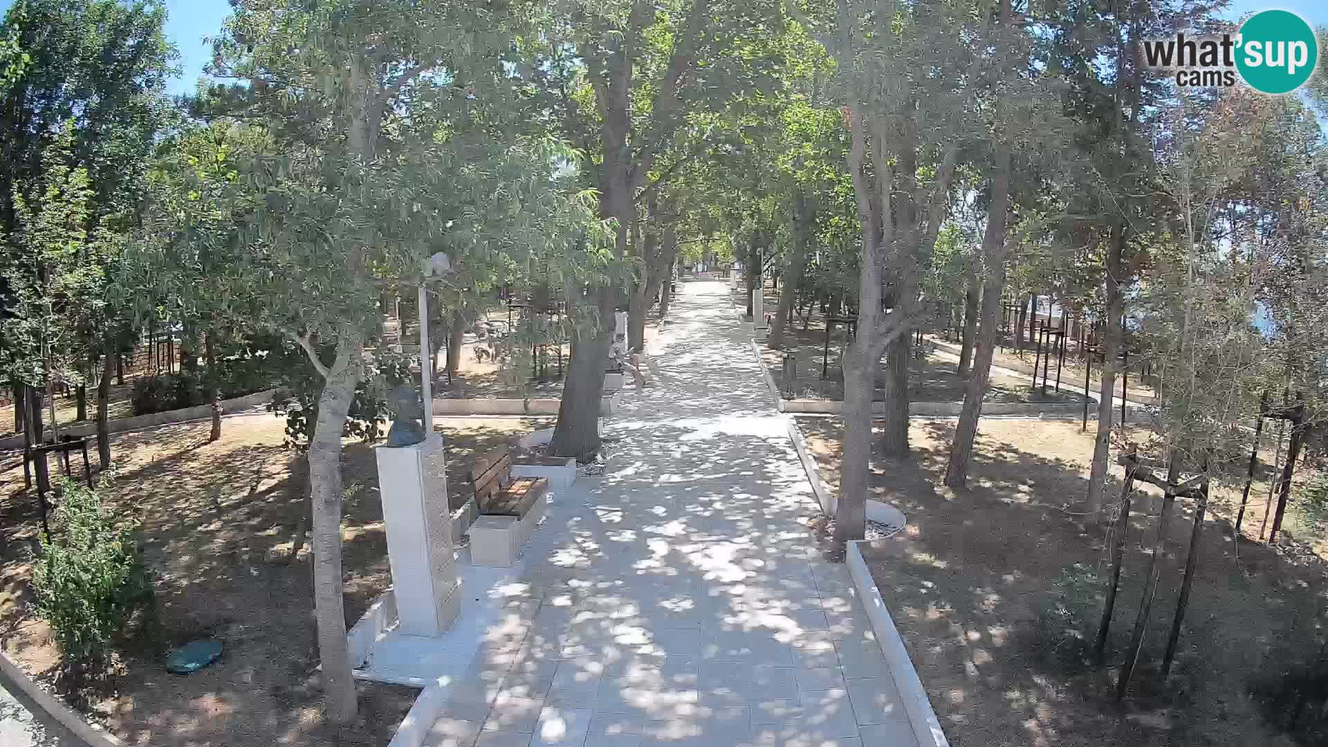 Webcam Parco degli Scrittori Segna – Diretta sul Mare