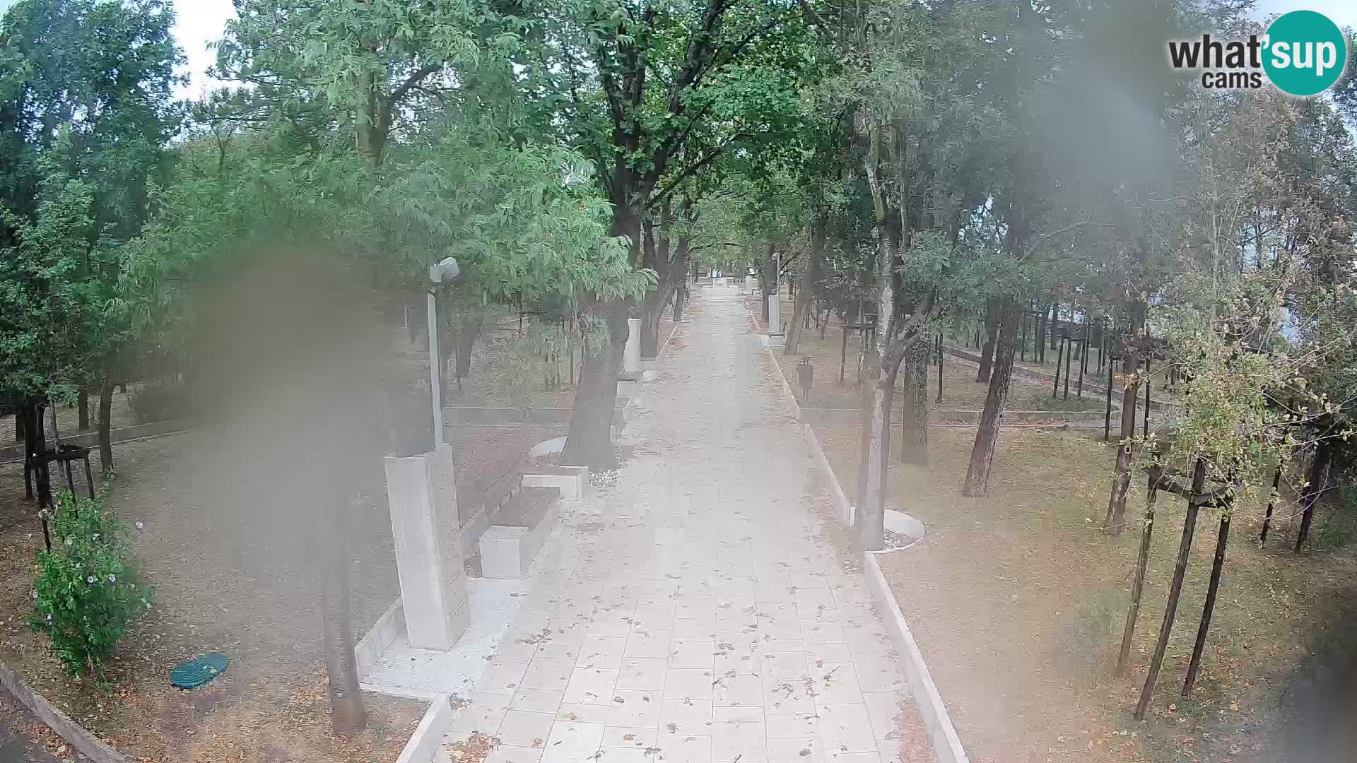 Webcam Schriftstellerpark Senj – Live am Meer