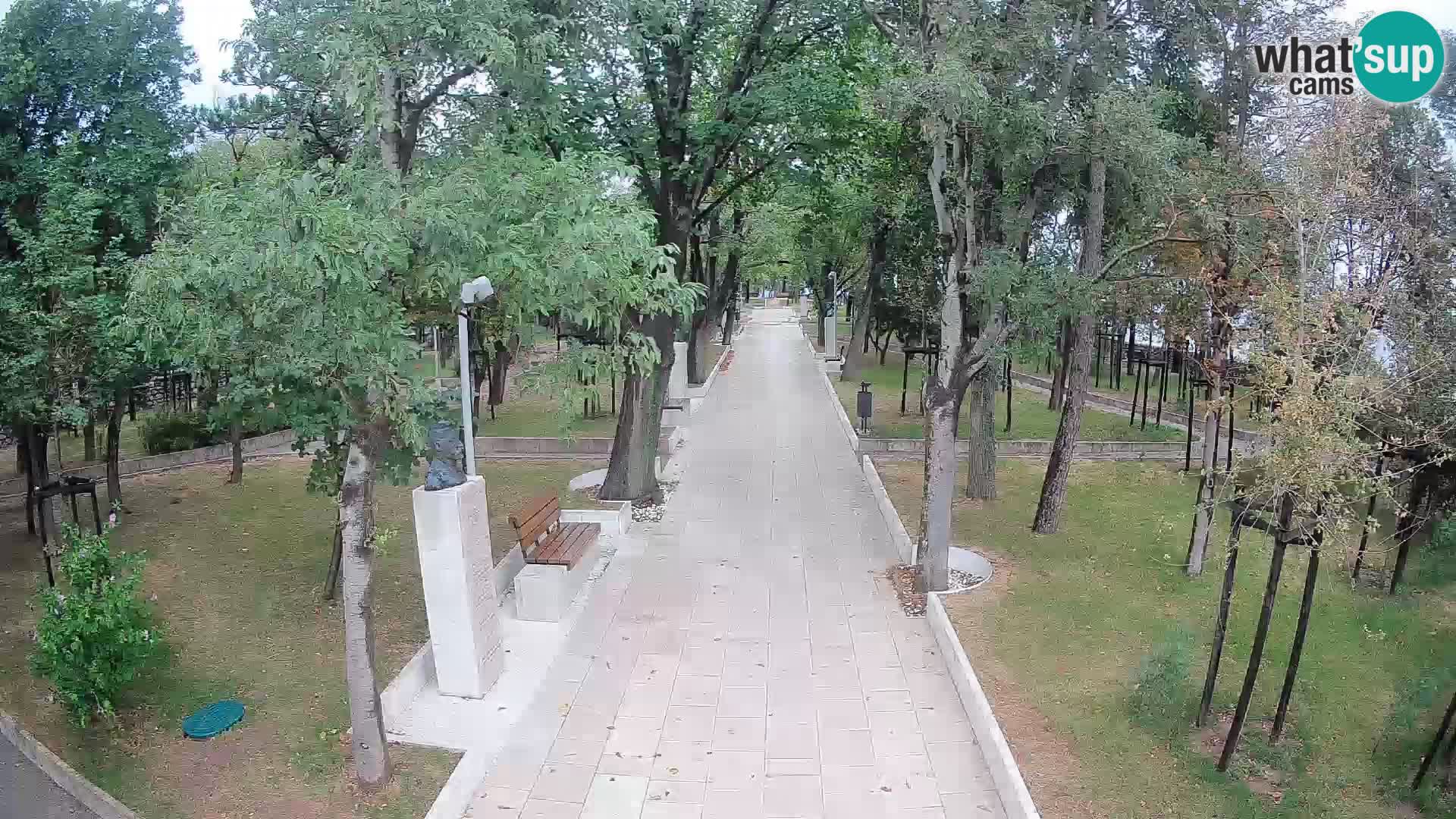 Webcam Parco degli Scrittori Segna – Diretta sul Mare