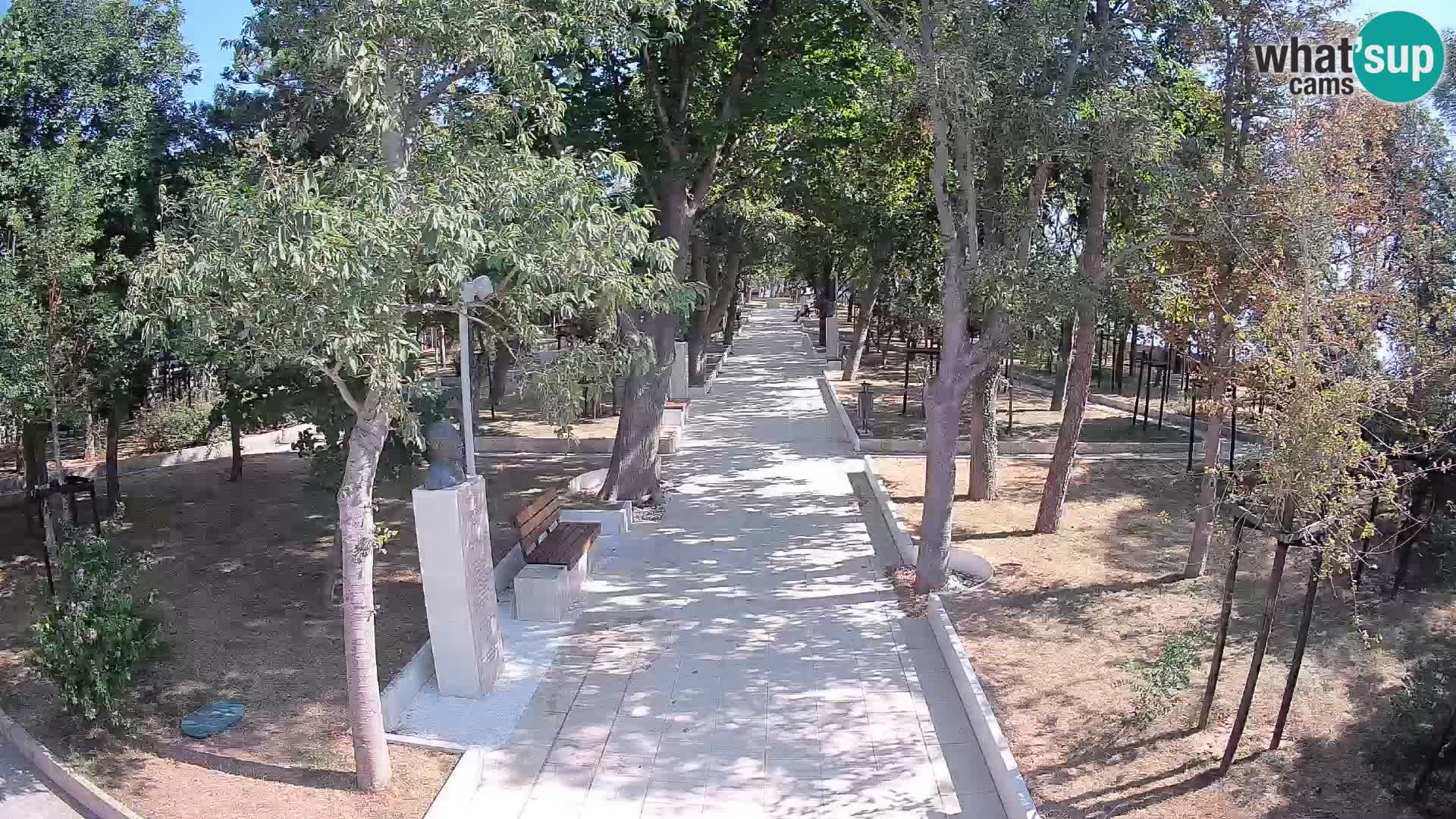 Webcam Parco degli Scrittori Segna – Diretta sul Mare