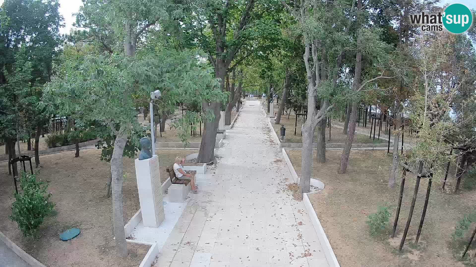 Webcam Parco degli Scrittori Segna – Diretta sul Mare