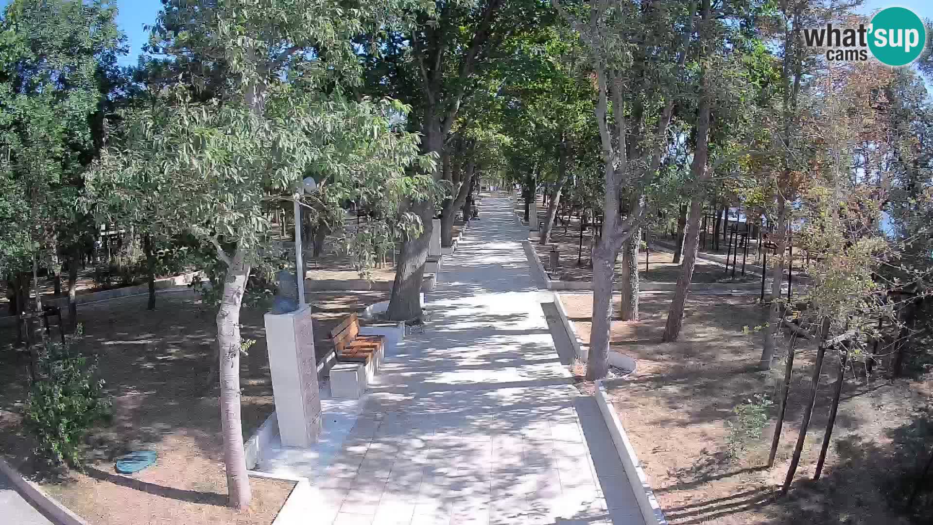 Webcam Parco degli Scrittori Segna – Diretta sul Mare