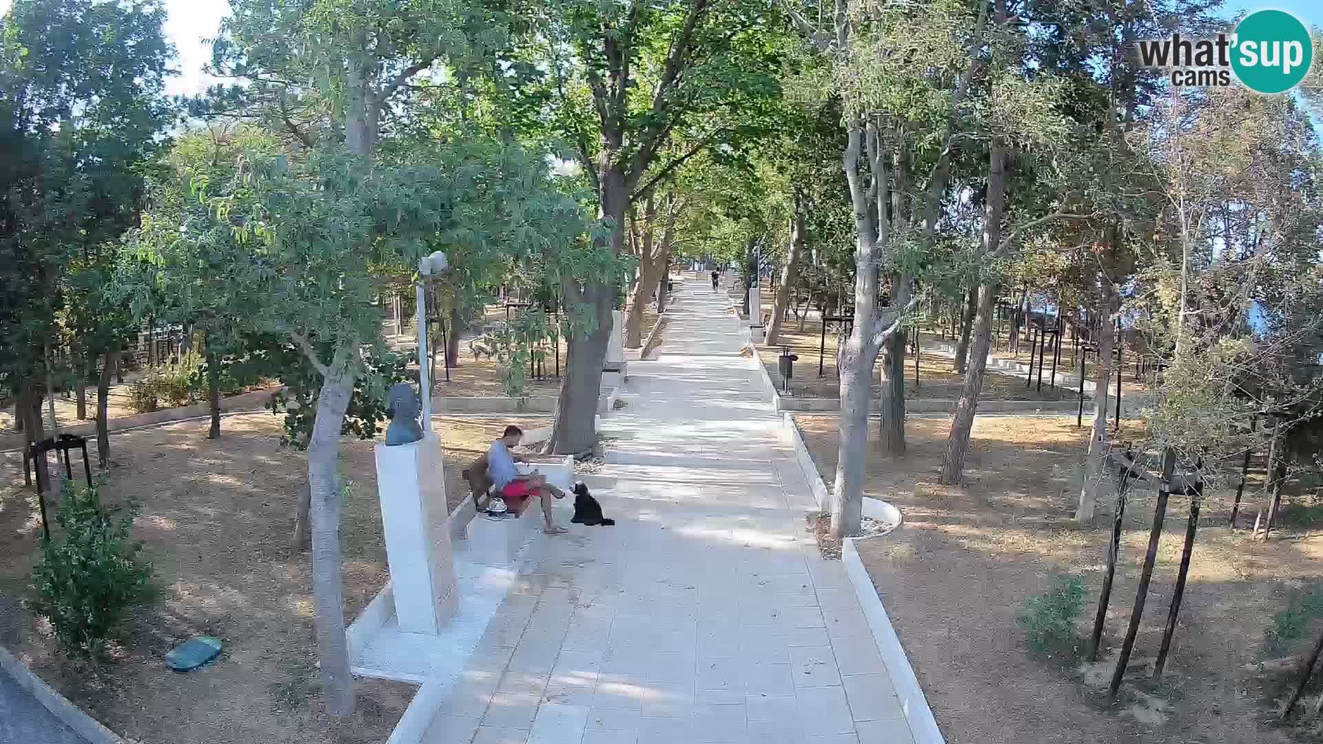 Webcam Parco degli Scrittori Segna – Diretta sul Mare