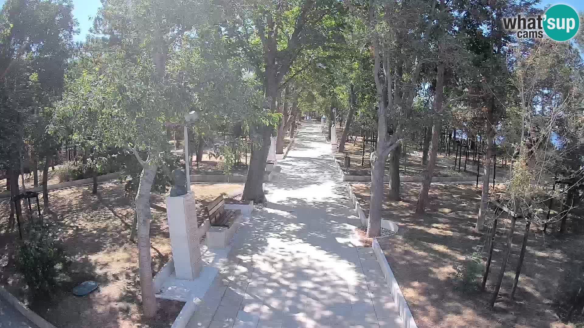 Webcam Parco degli Scrittori Segna – Diretta sul Mare
