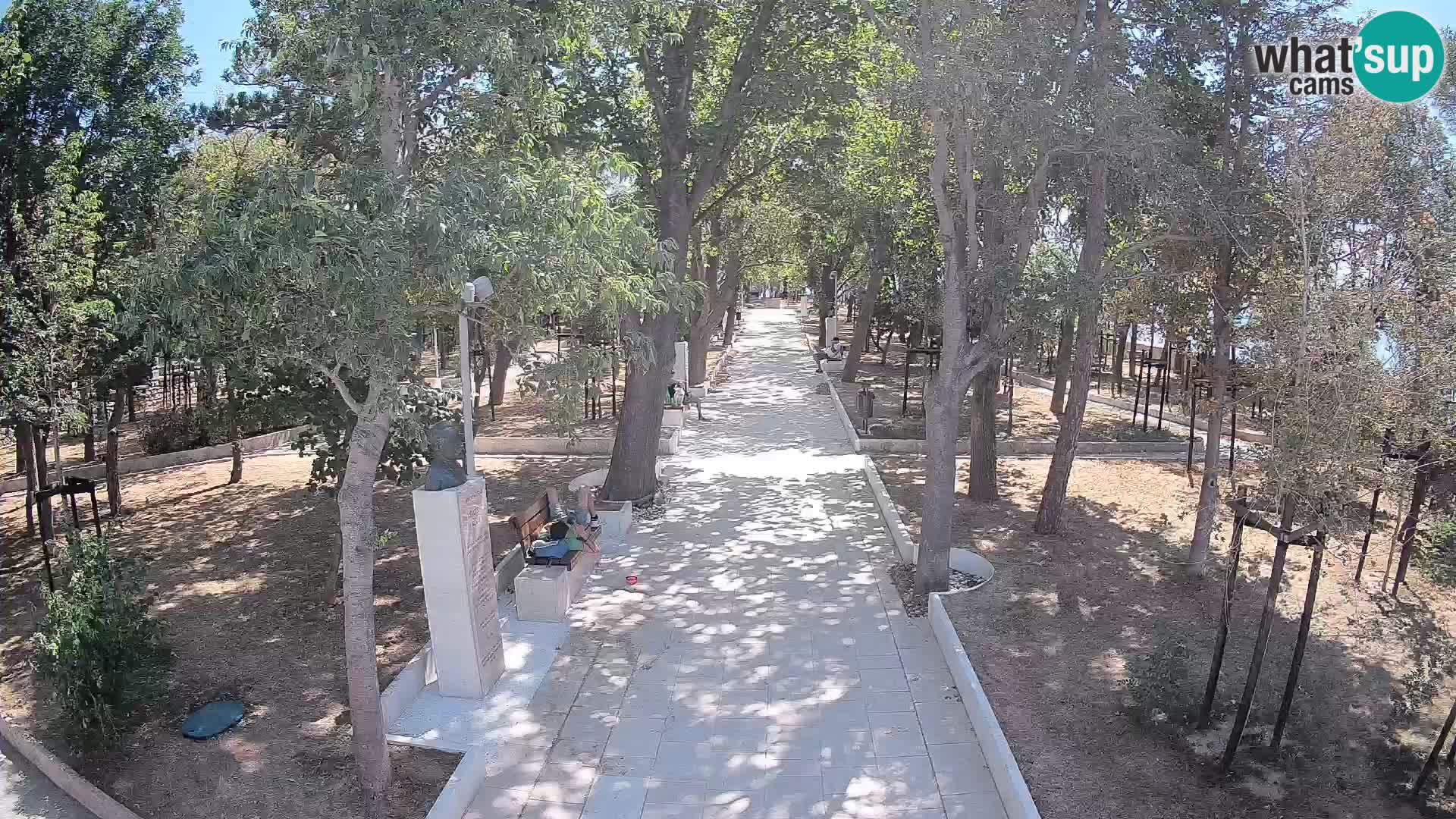 Webcam Parco degli Scrittori Segna – Diretta sul Mare