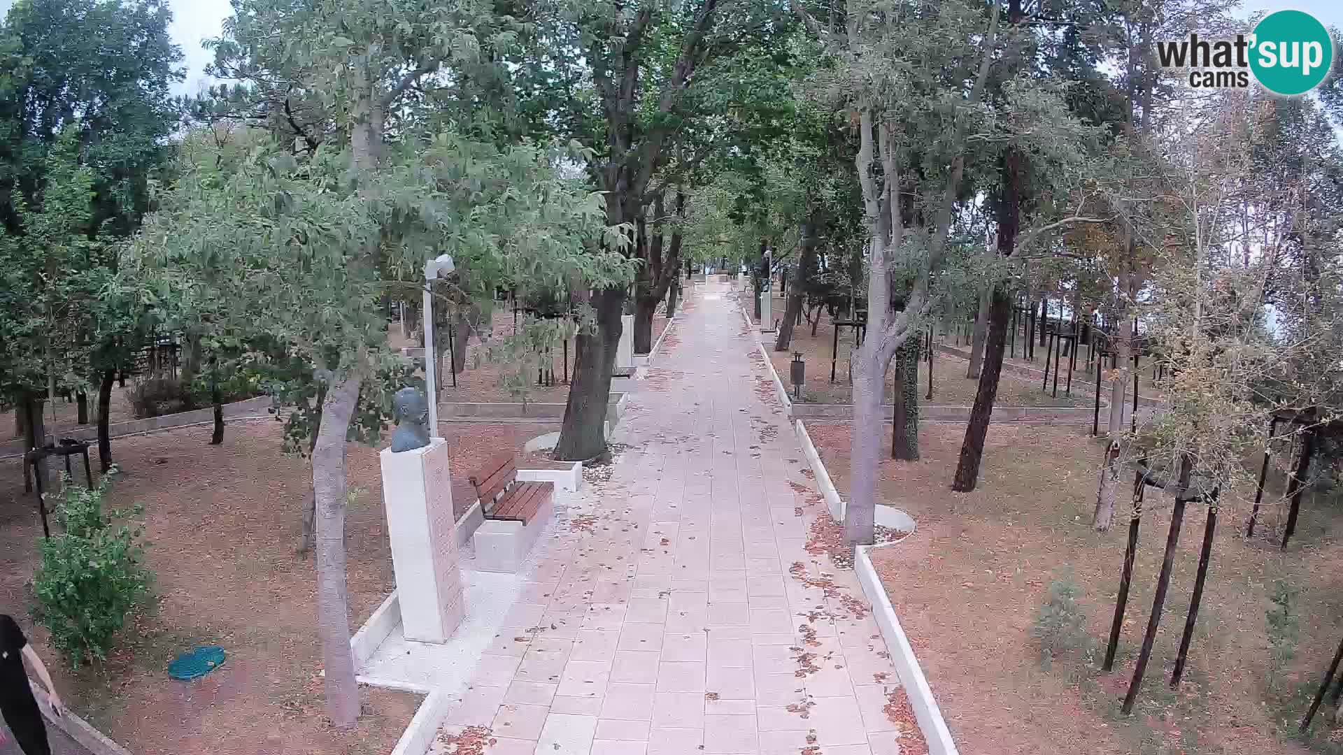 Webcam Parco degli Scrittori Segna – Diretta sul Mare